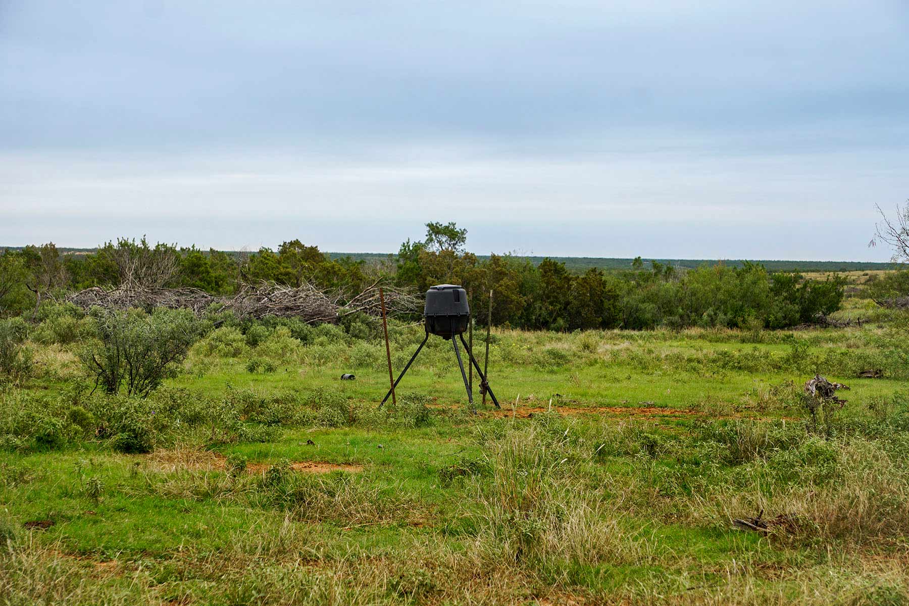 Water Canyon Ranch property picture 12 of 55