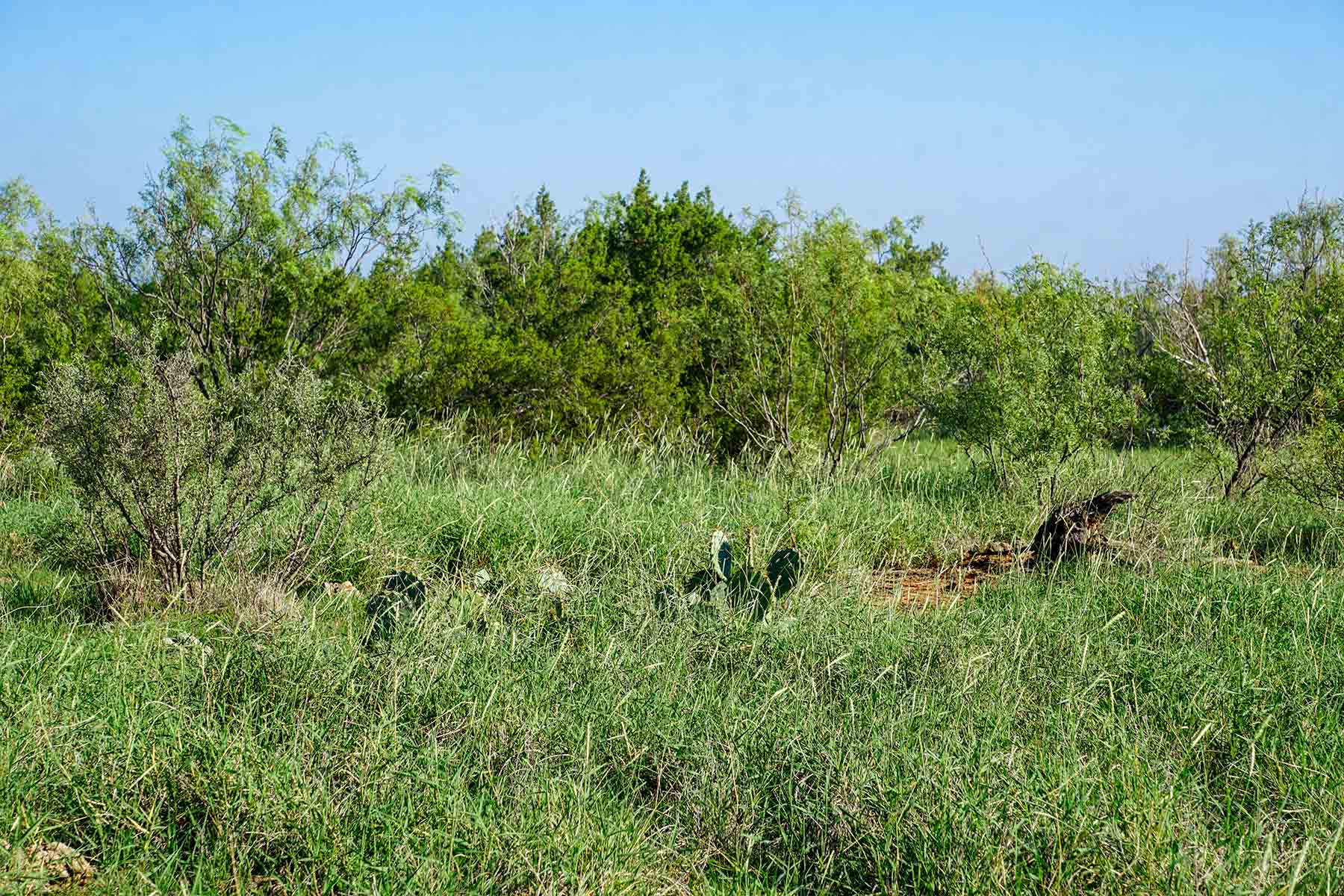 Water Canyon Ranch property picture 26 of 55