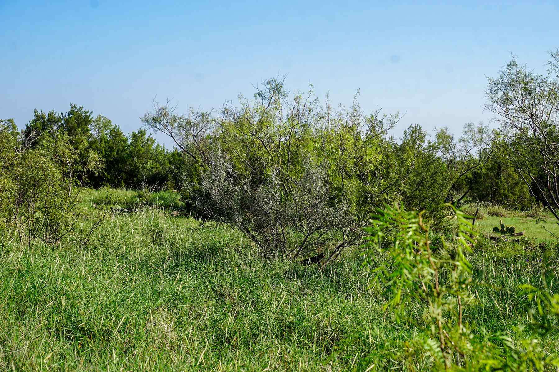 Water Canyon Ranch property picture 14 of 55