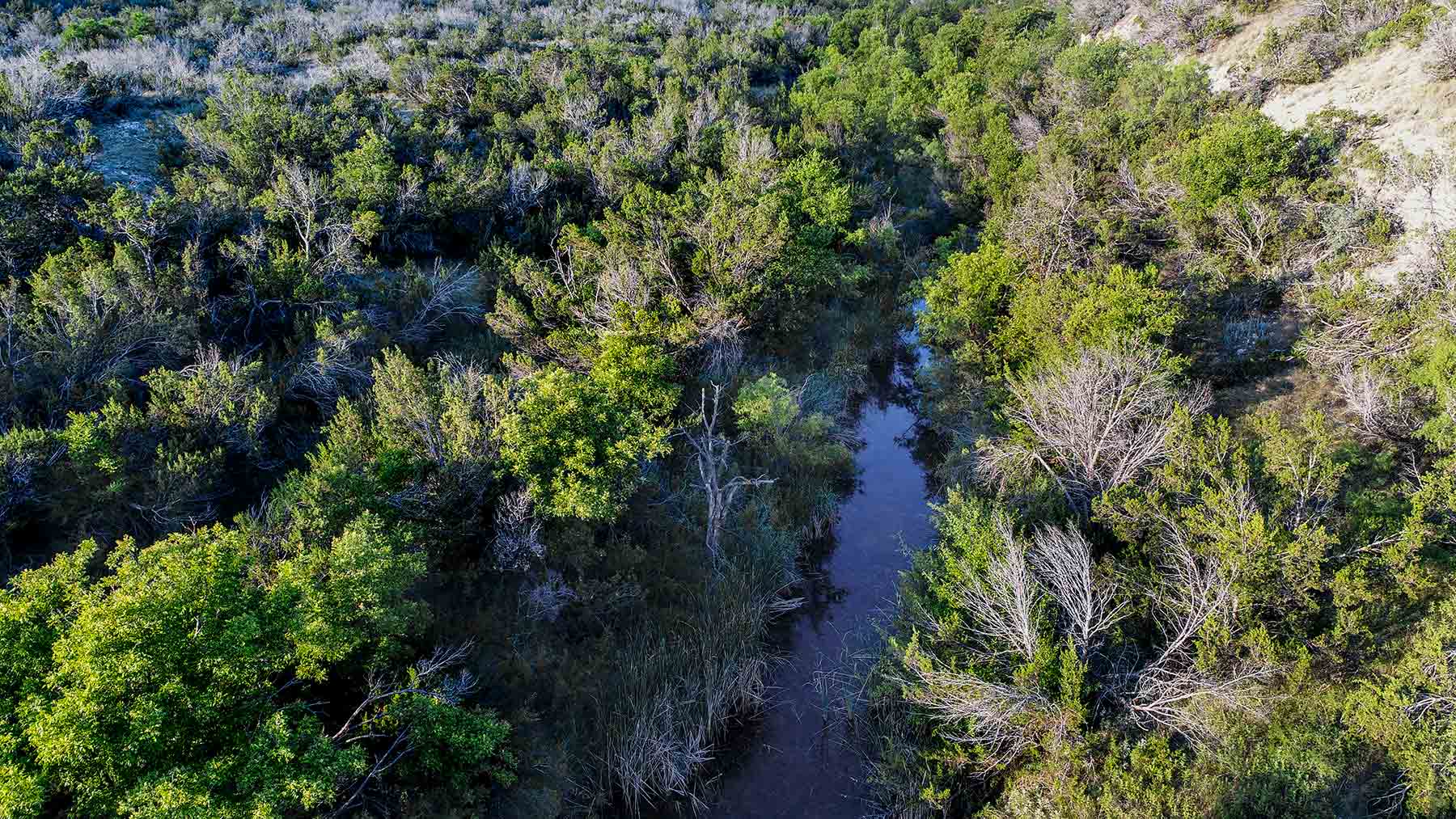 Water Canyon Ranch property picture 7 of 55