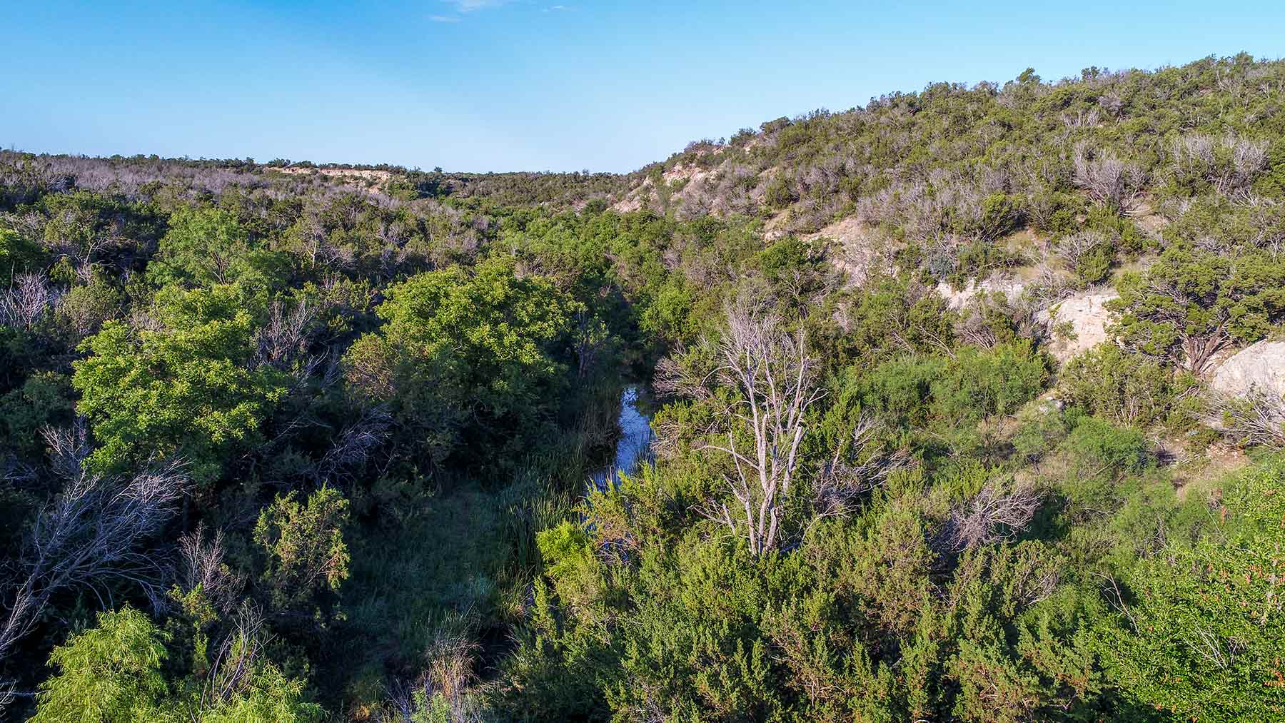 Water Canyon Ranch property picture 29 of 55