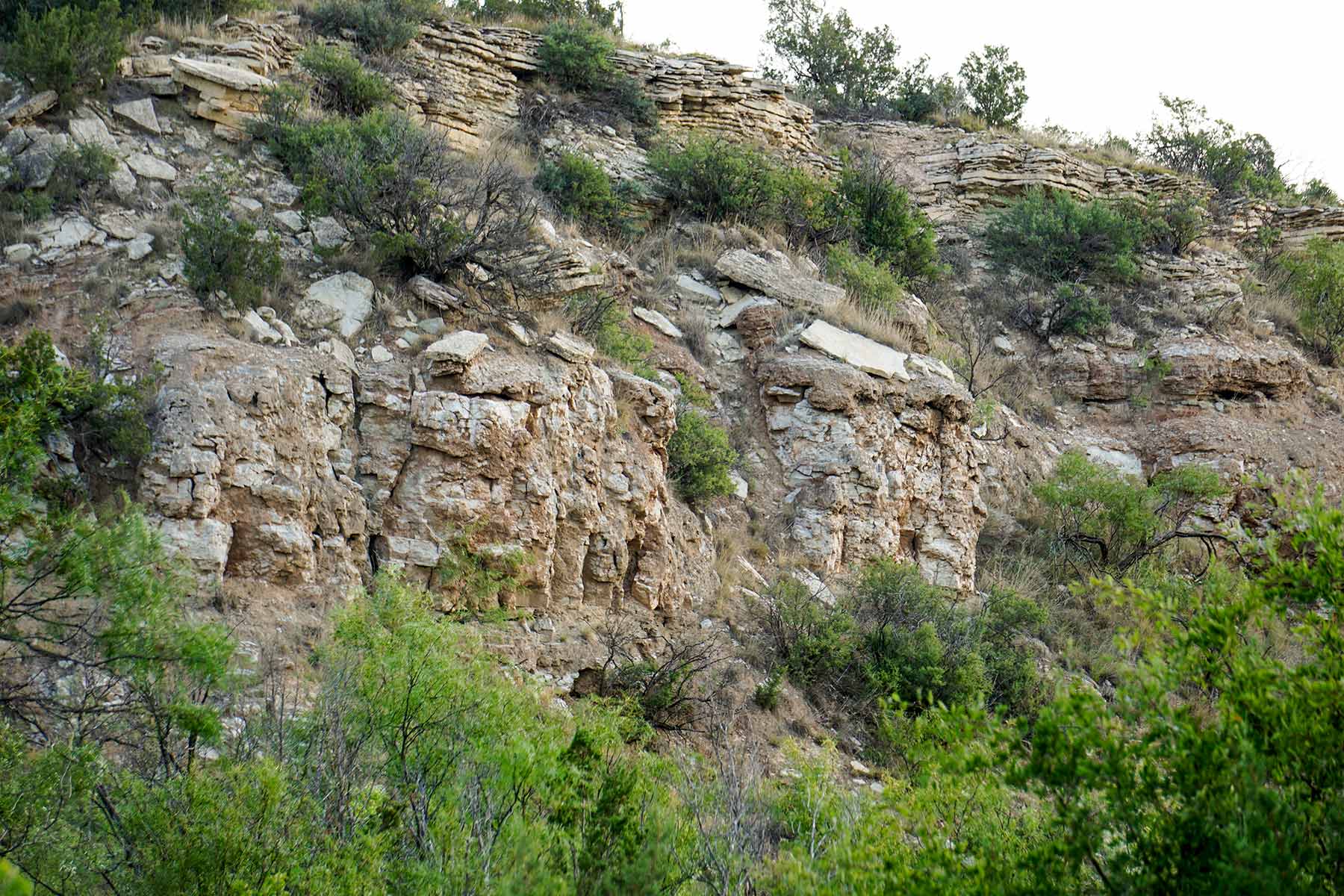 Water Canyon Ranch property picture 21 of 55