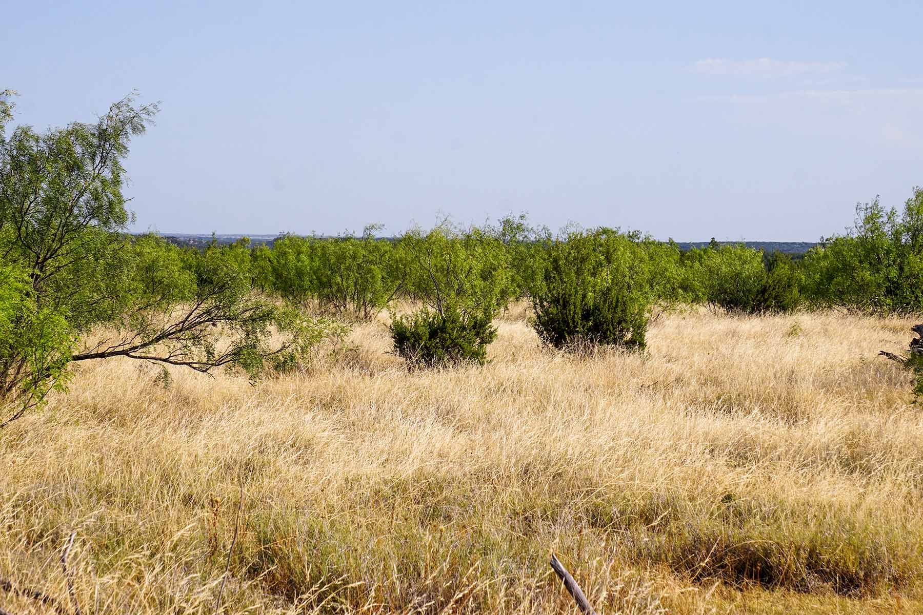 Water Canyon Ranch property picture 43 of 55