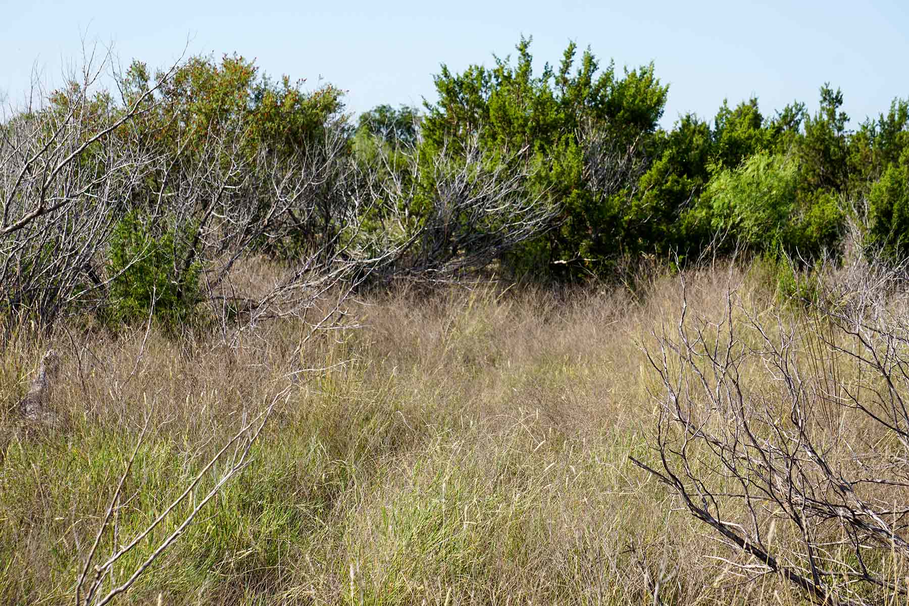 Water Canyon Ranch property picture 44 of 55