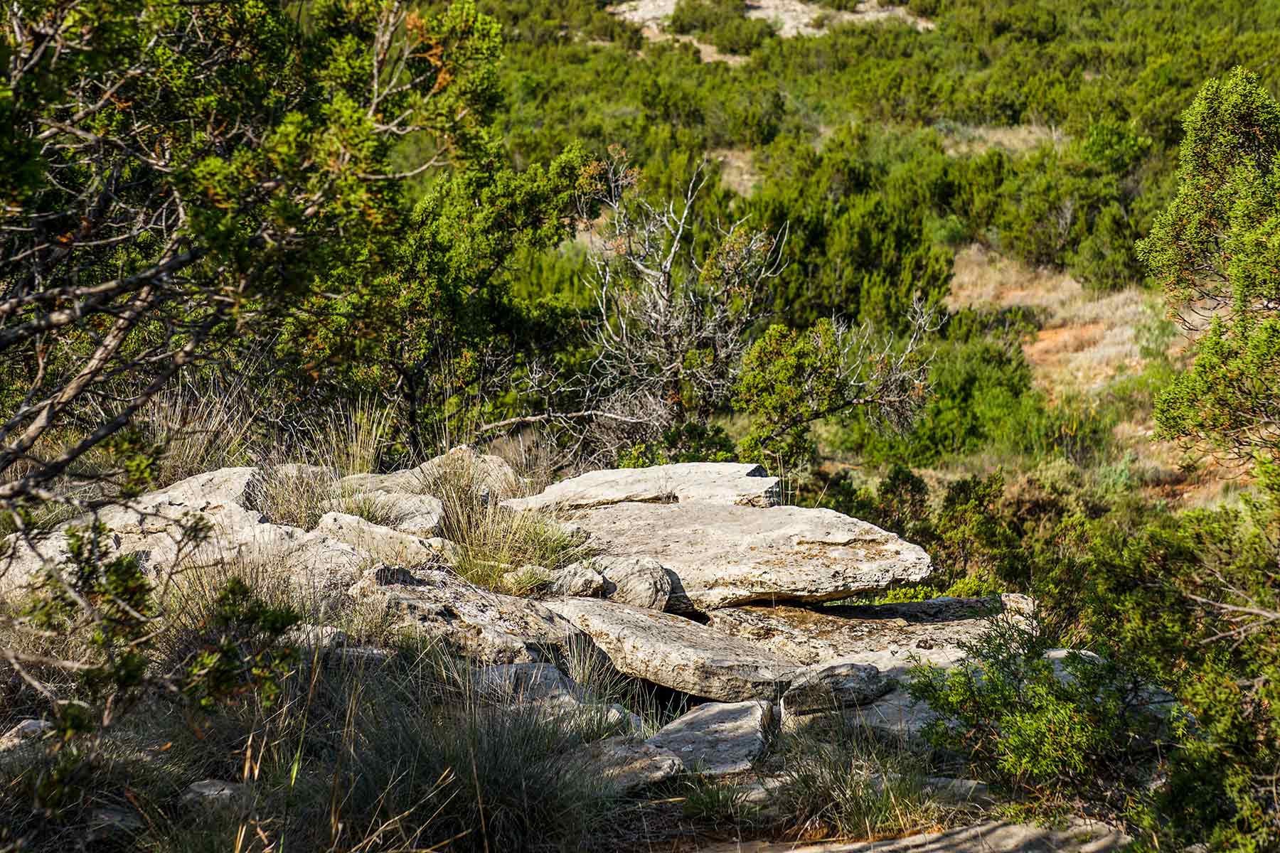 Water Canyon Ranch property picture 45 of 55