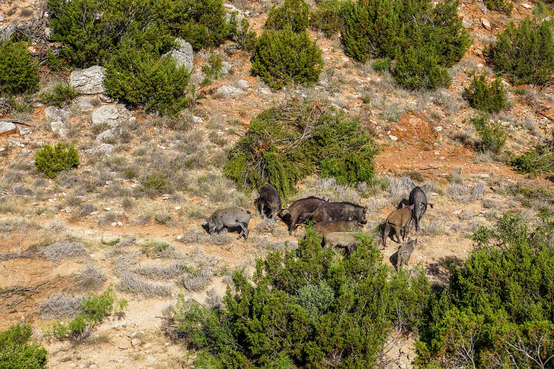 Water Canyon Ranch property picture 46 of 55