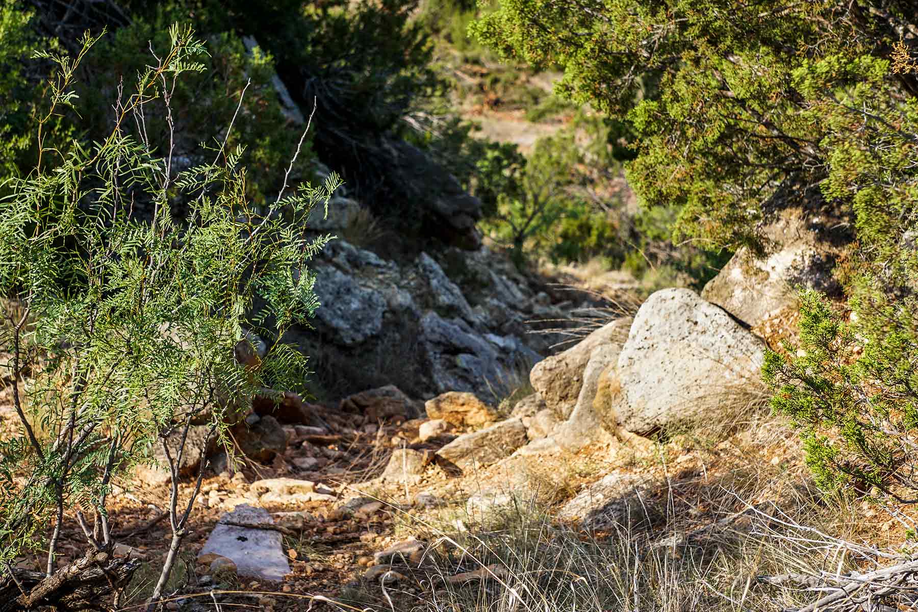 Water Canyon Ranch property picture 47 of 55