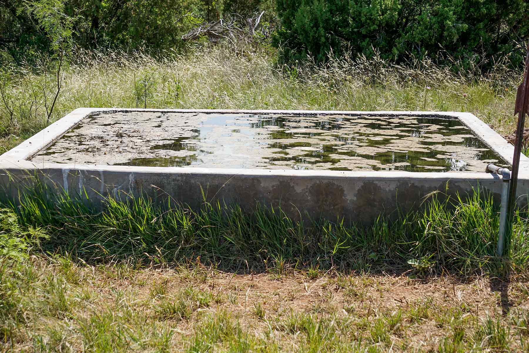 Water Canyon Ranch property picture 40 of 55