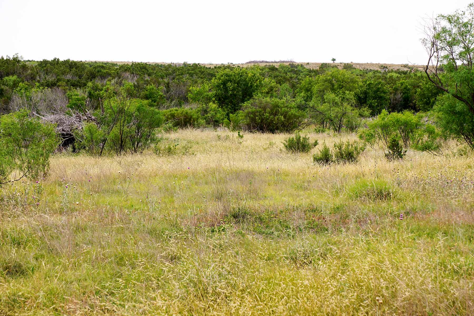 Water Canyon Ranch property picture 50 of 55