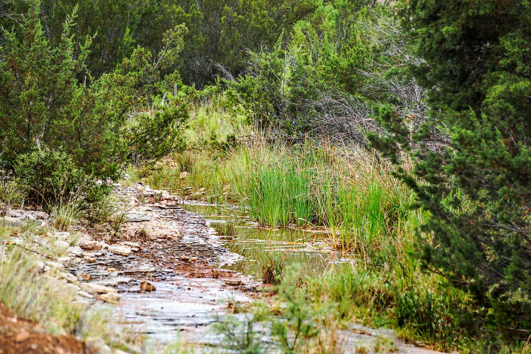 Water Canyon Ranch property picture 51 of 55
