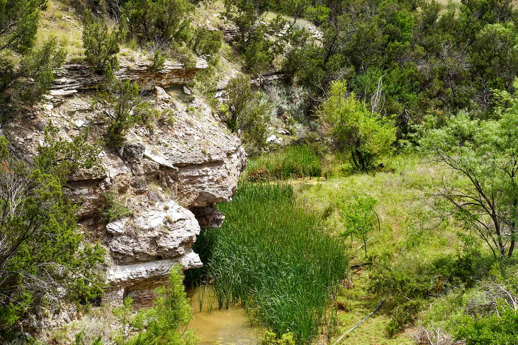 Water Canyon Ranch property picture 36 of 55