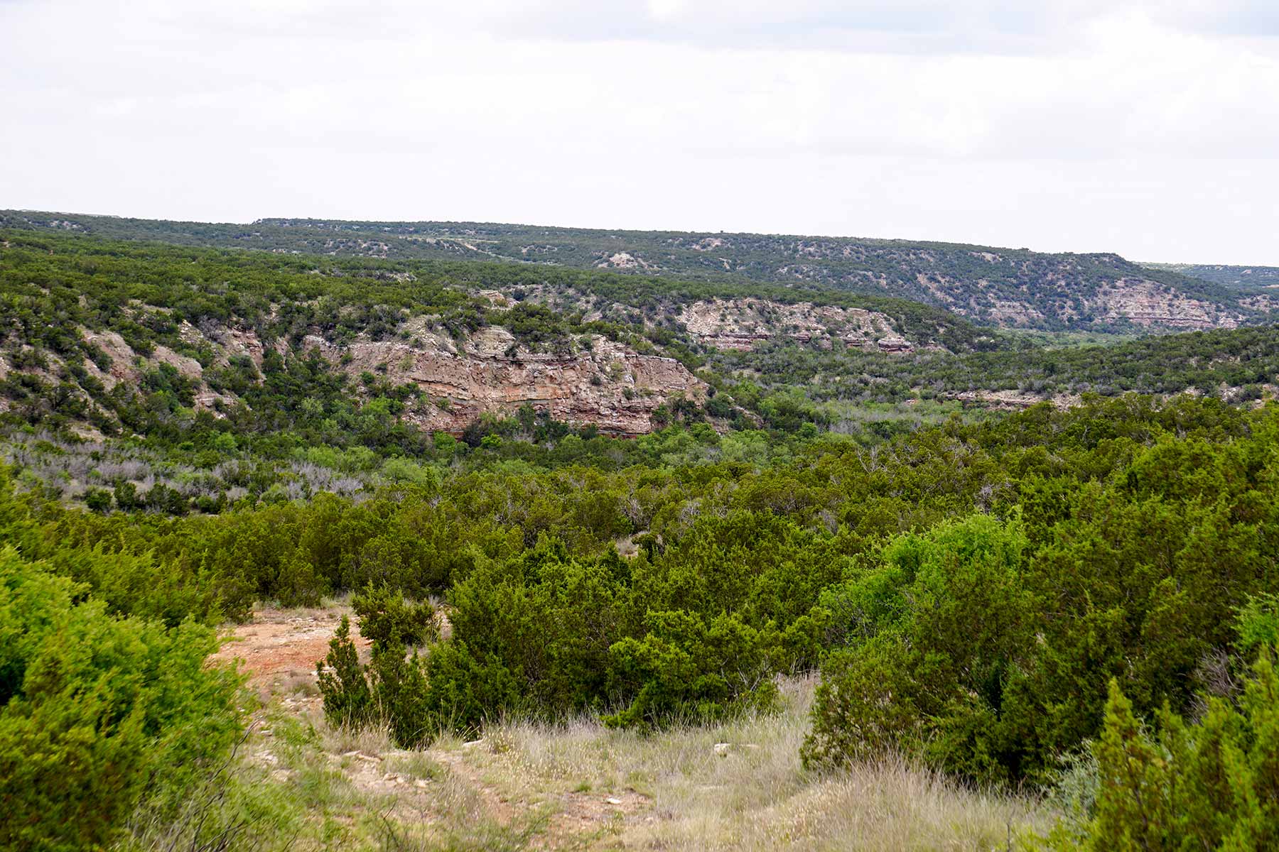 Water Canyon Ranch property picture 52 of 55