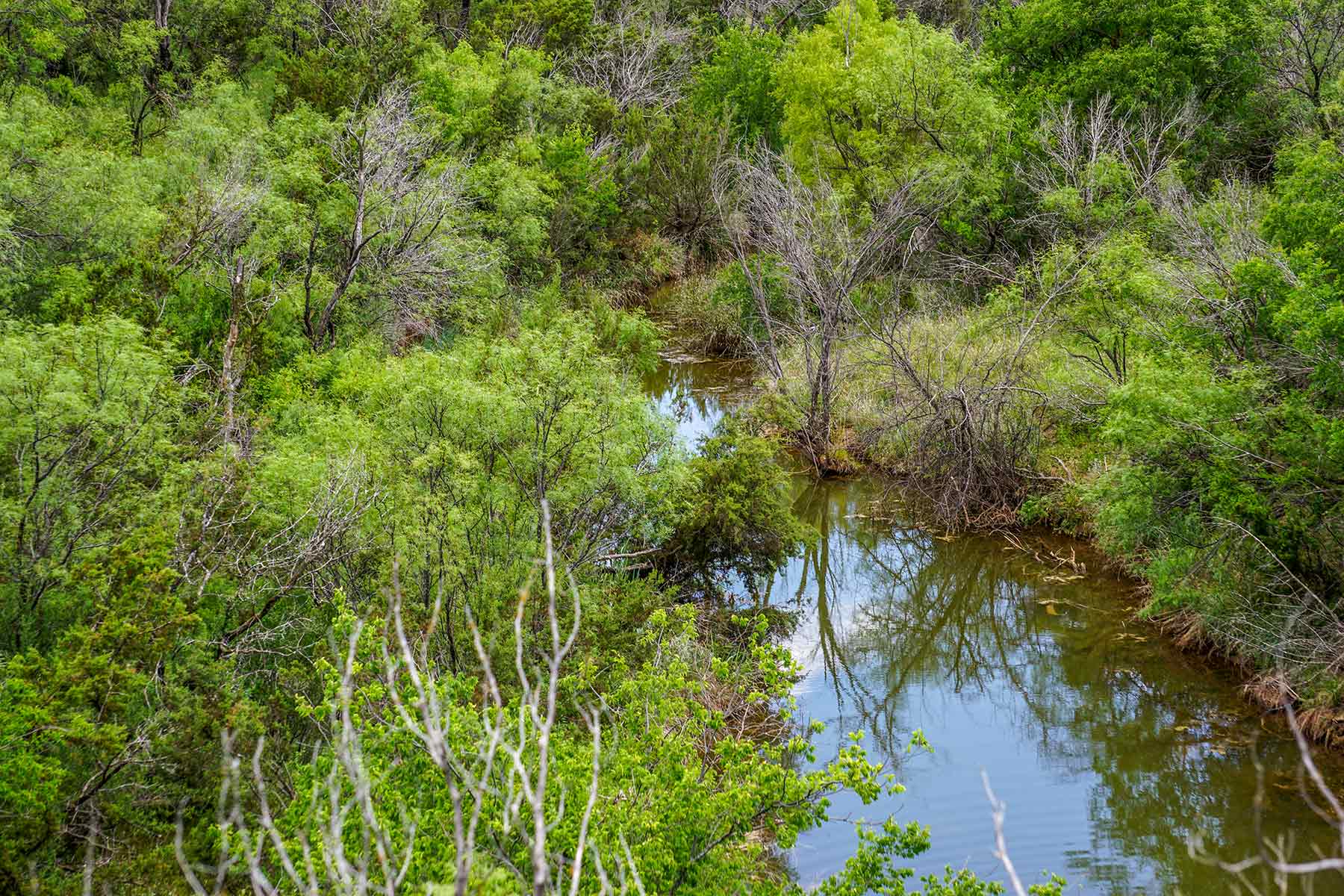 Water Canyon Ranch property picture 24 of 55