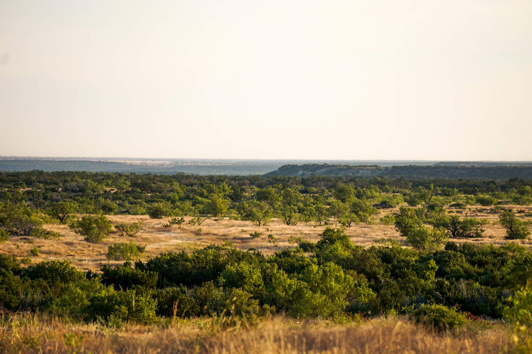 Water Canyon Ranch property picture 54 of 55