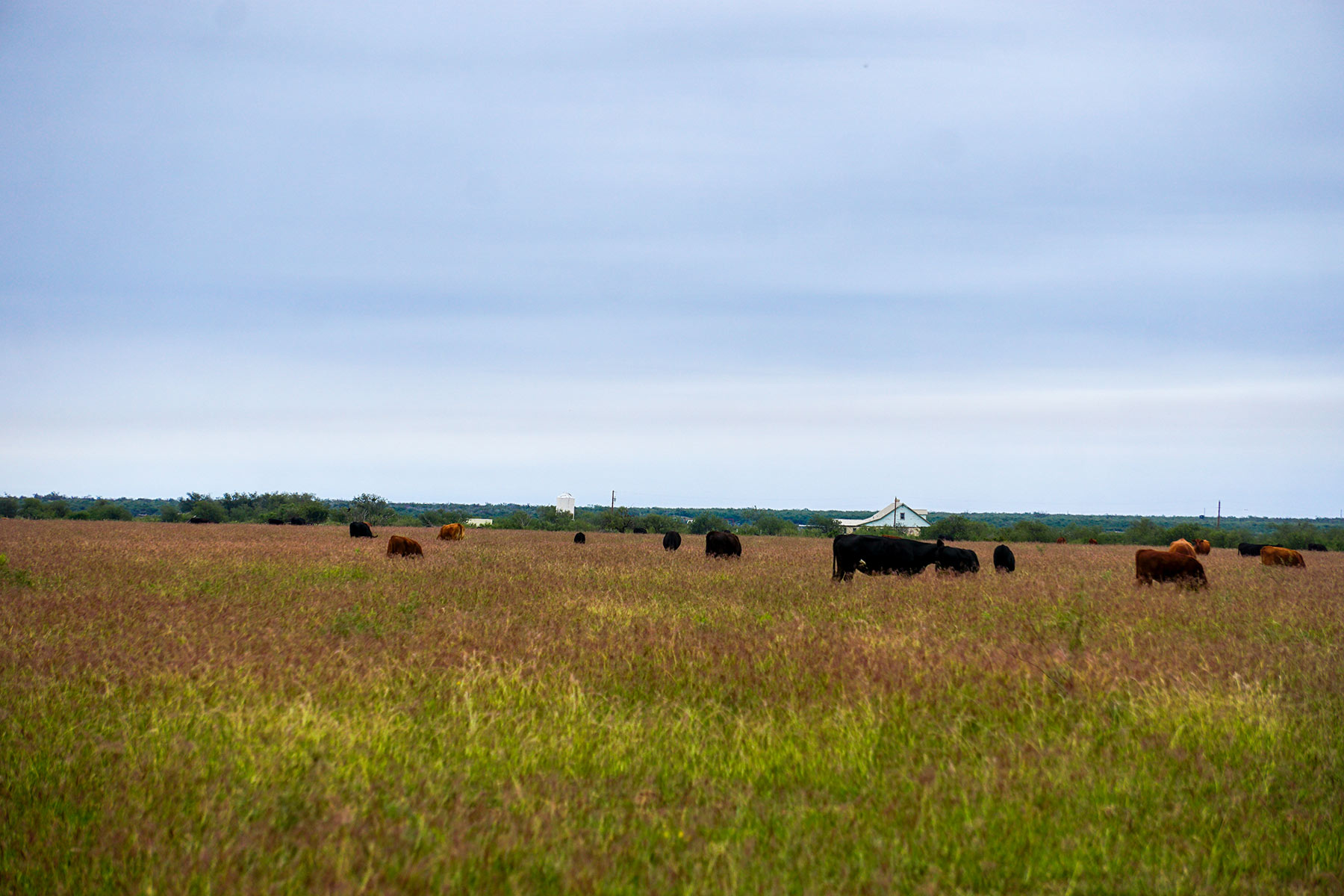 Water Canyon Ranch property picture 6 of 55