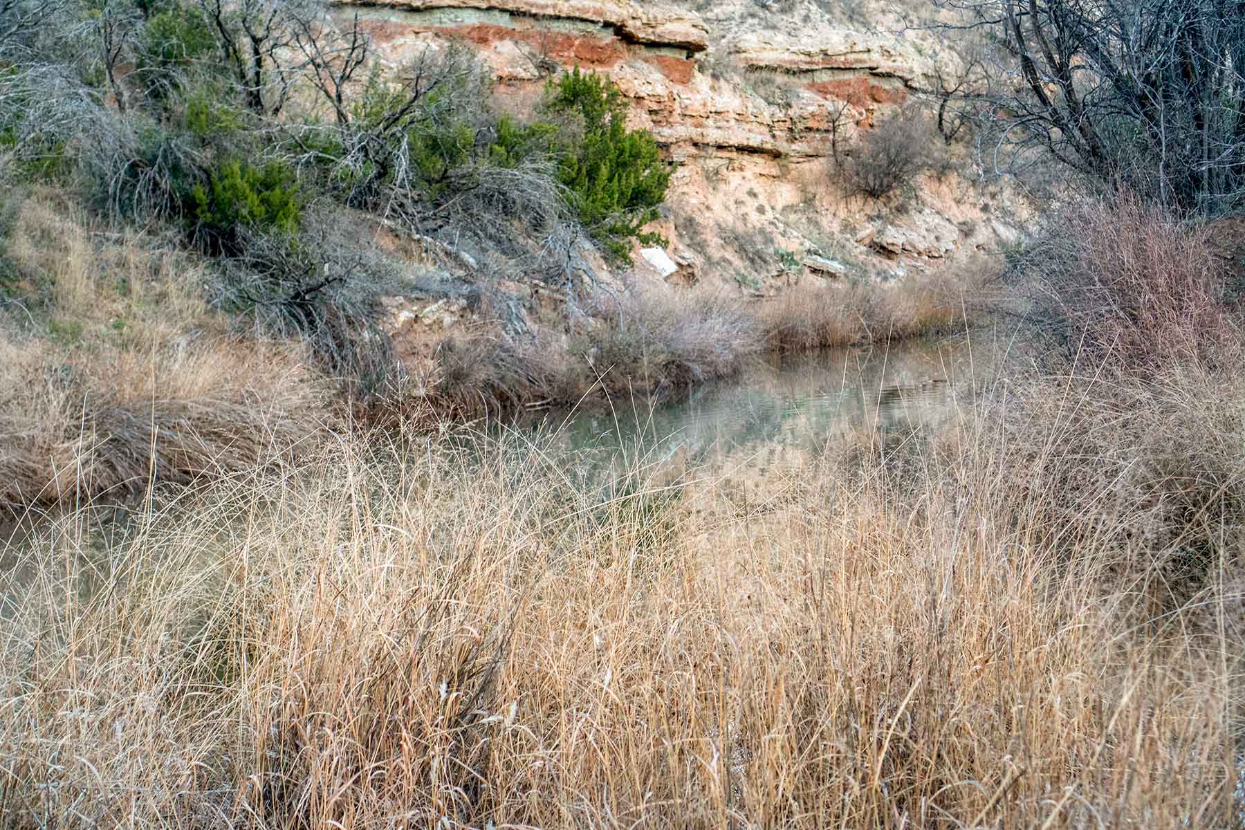 Water Canyon Ranch property picture 27 of 55