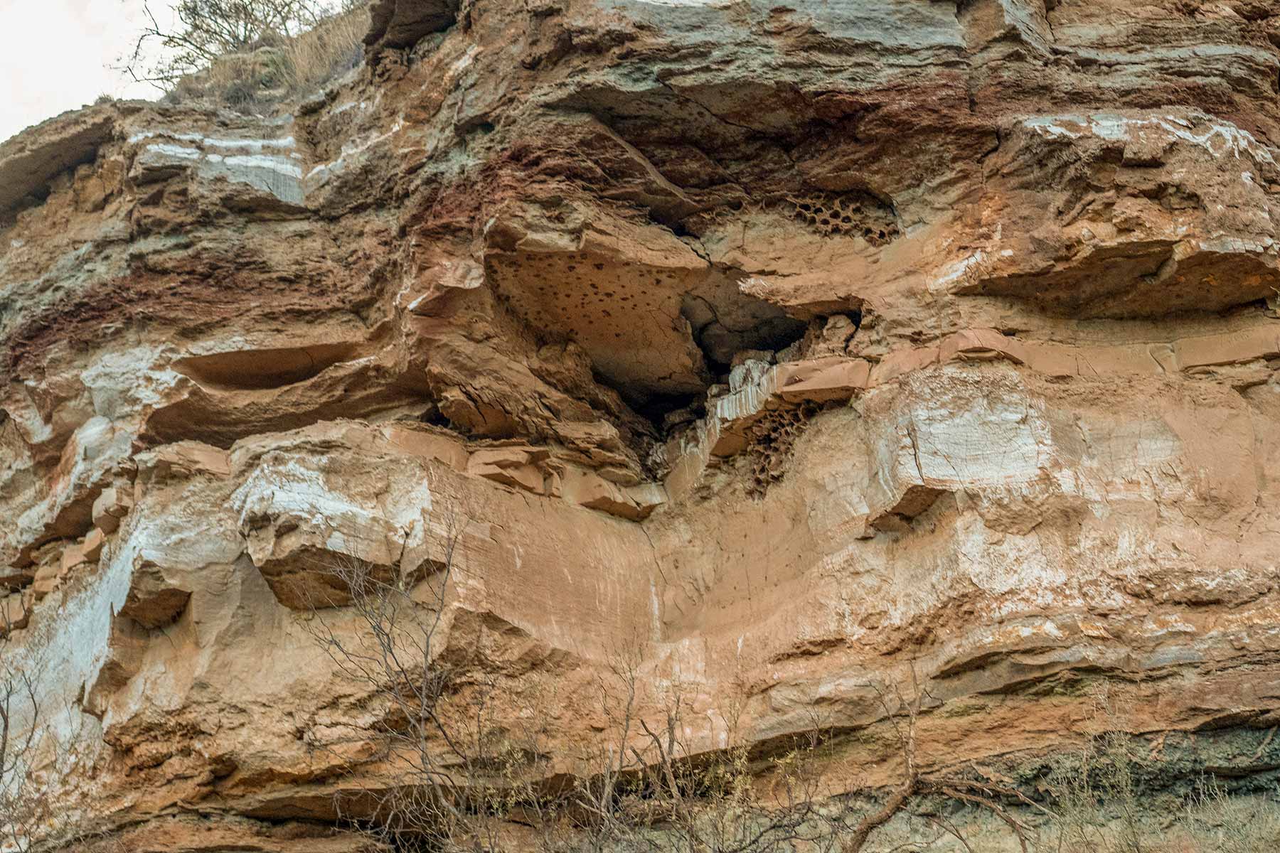 Water Canyon Ranch property picture 23 of 55