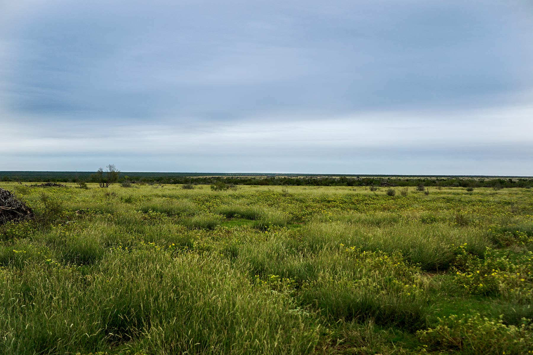 Water Canyon Ranch property picture 28 of 55