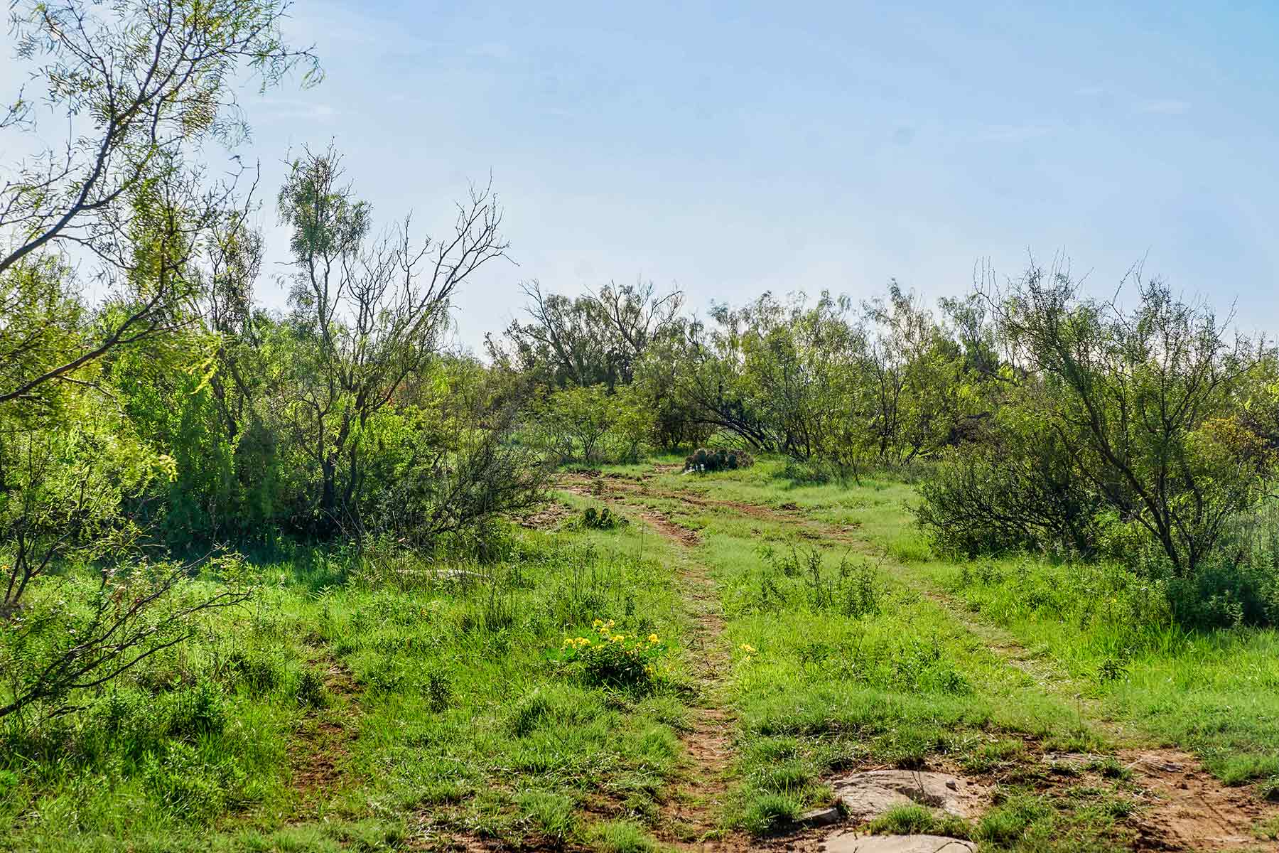 Water Canyon Ranch property picture 18 of 55