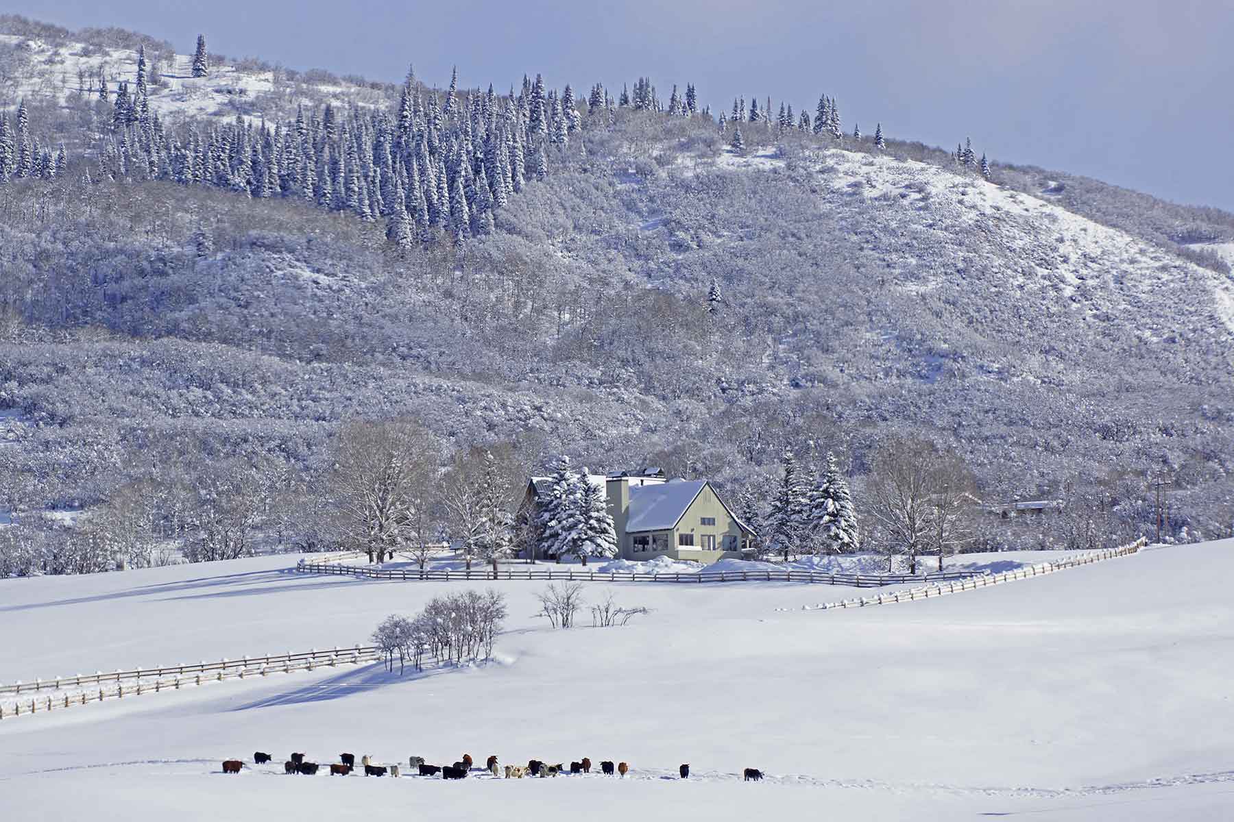 Slate Creek Ranch property picture 60 of 66