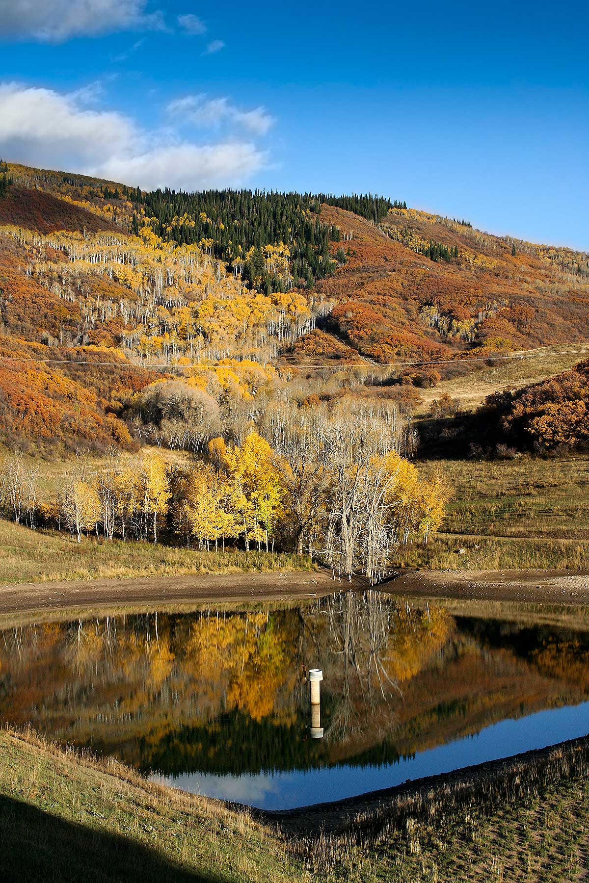 Slate Creek Ranch property picture 34 of 66