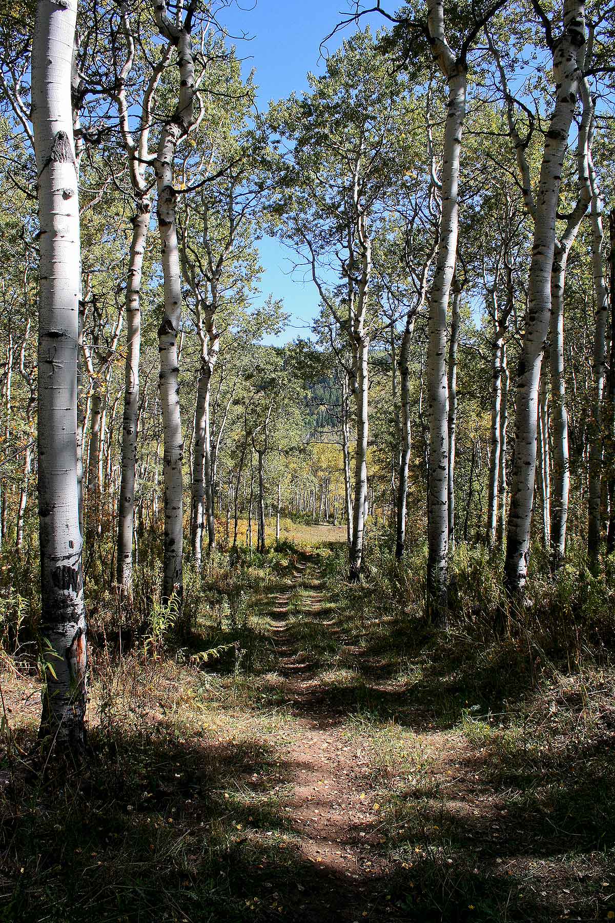 Slate Creek Ranch property picture 21 of 66