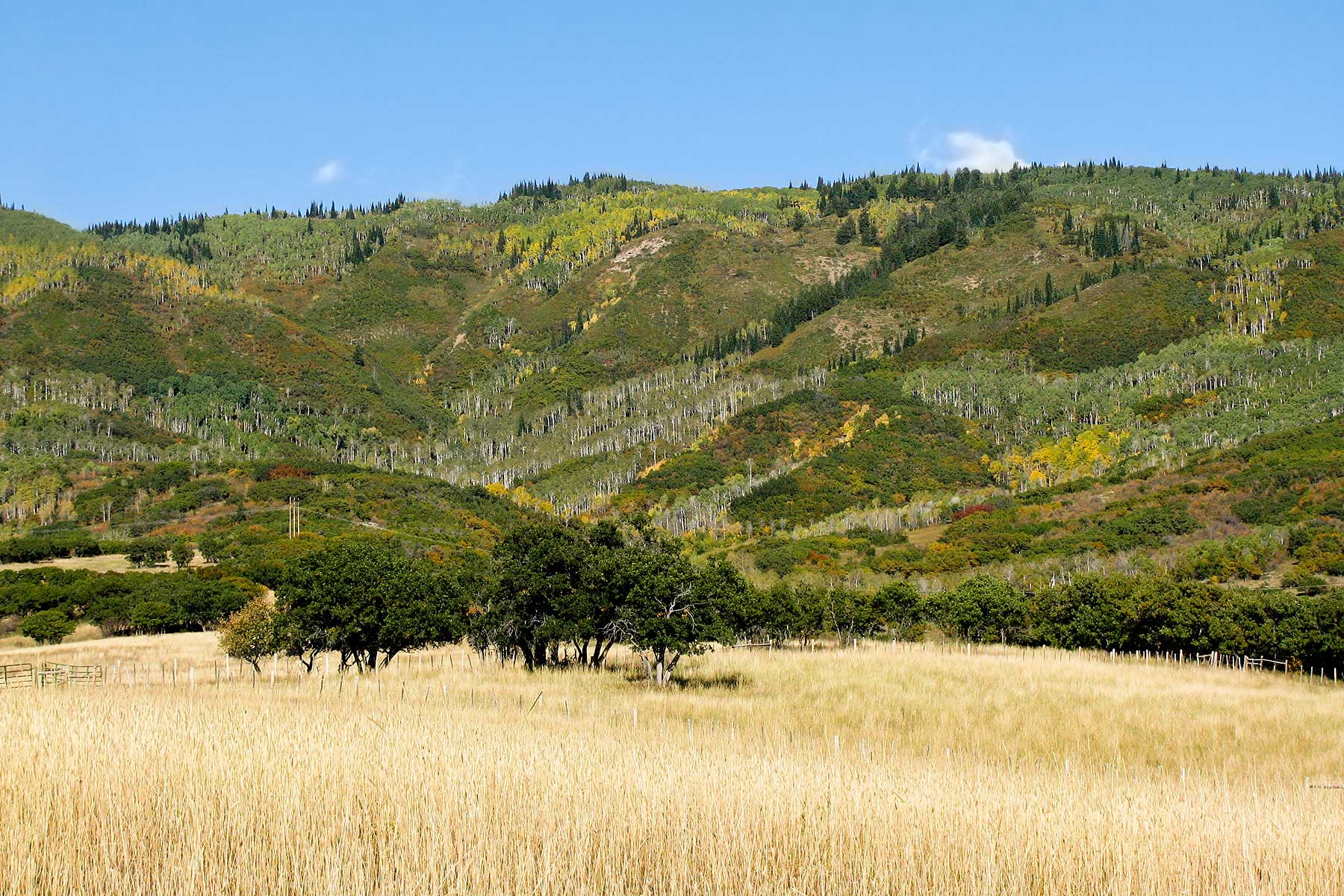 Slate Creek Ranch property picture 10 of 66