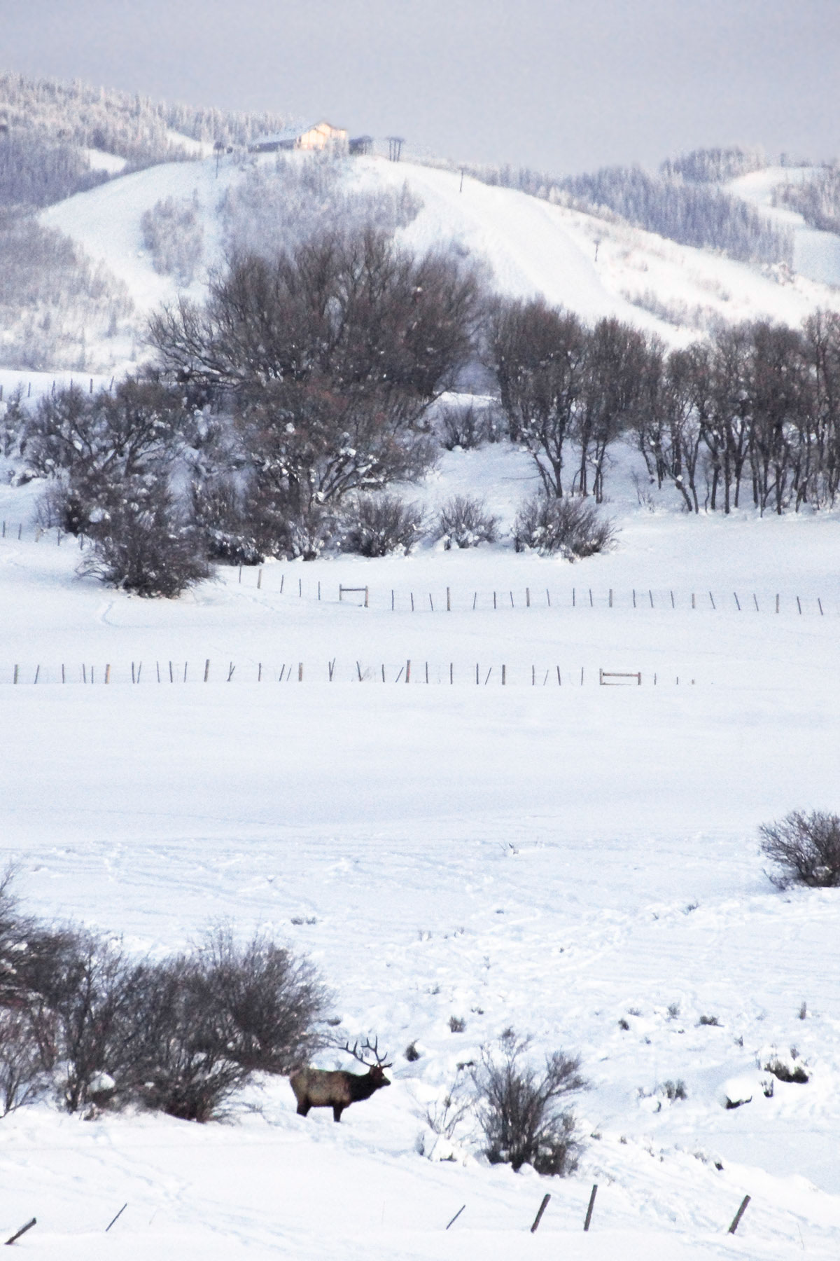 Slate Creek Ranch property picture 53 of 66