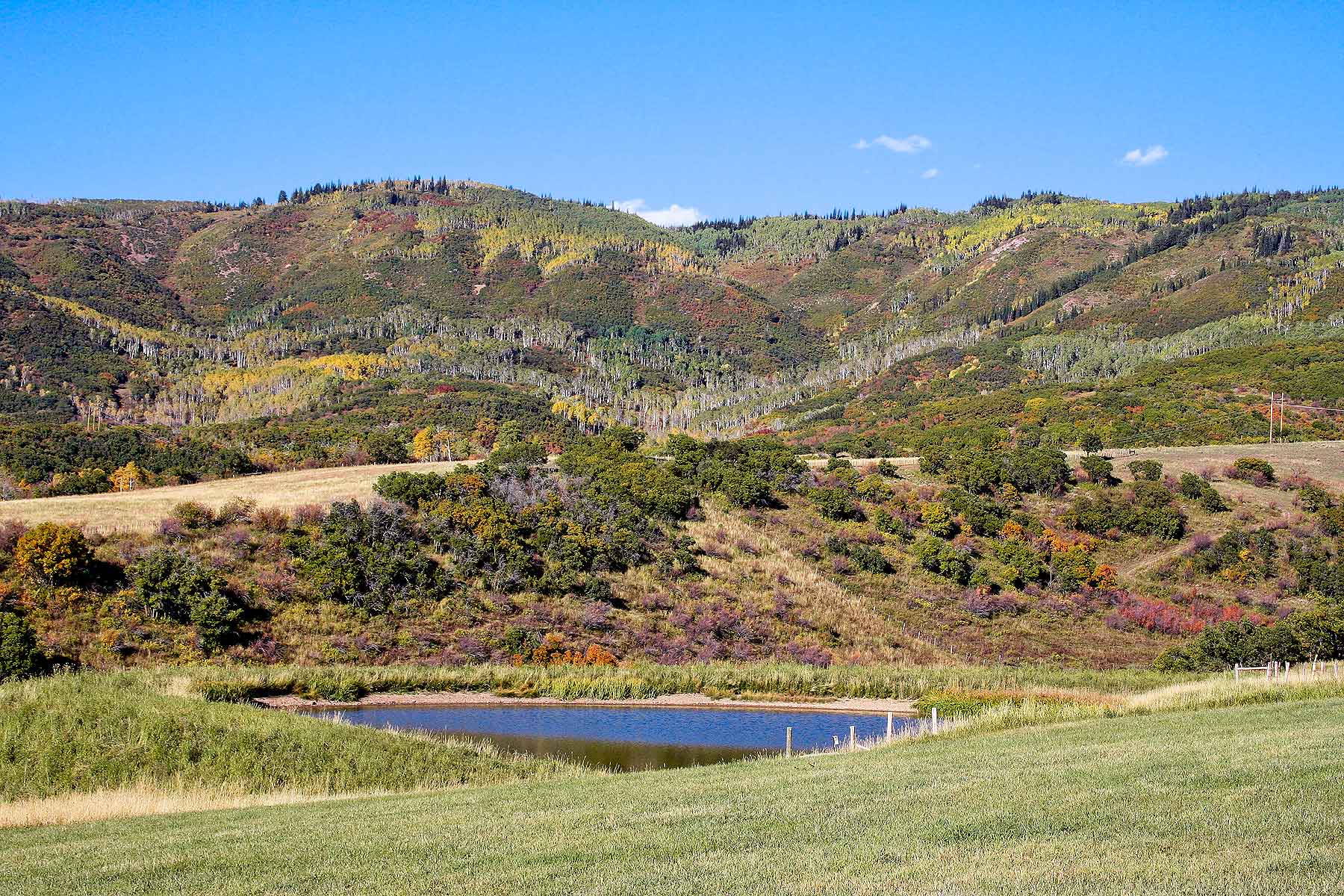 Slate Creek Ranch property picture 28 of 66