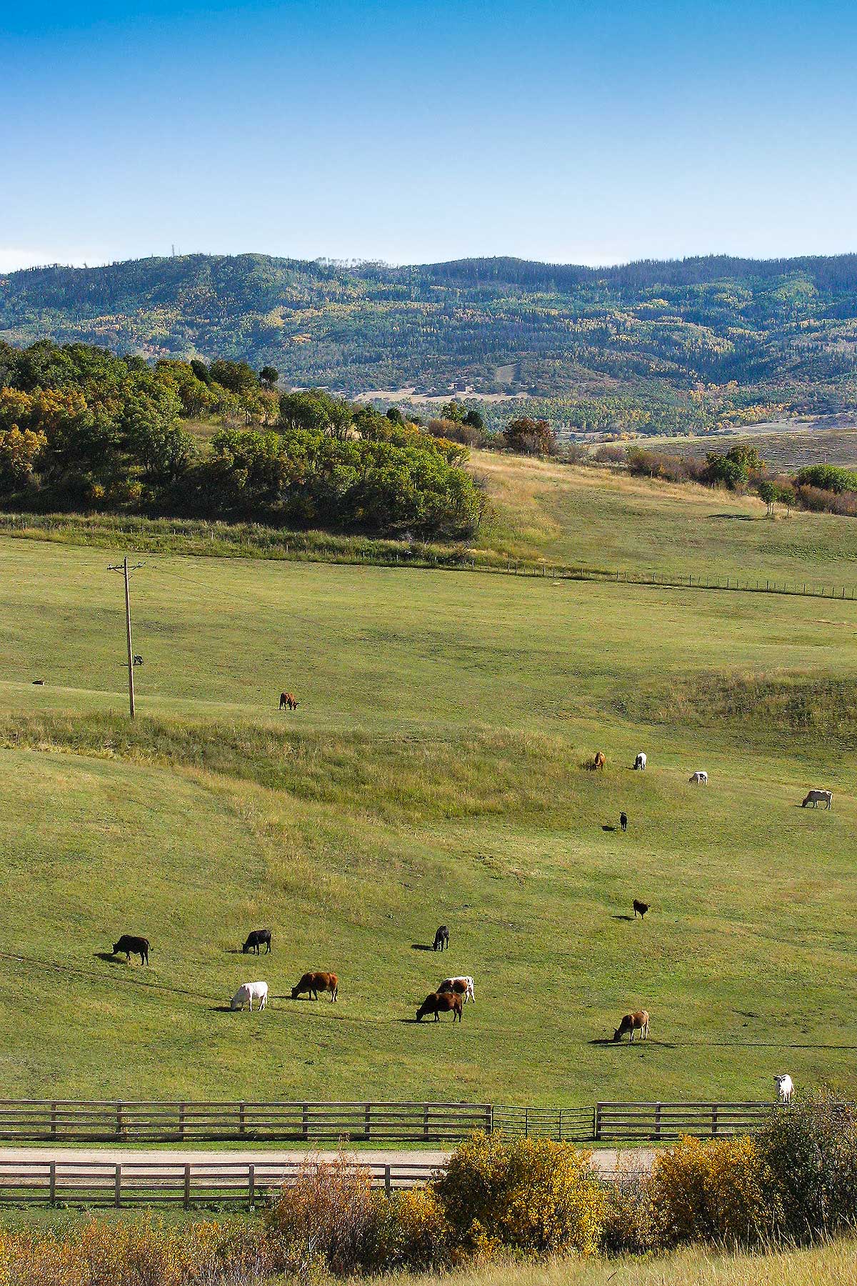 Slate Creek Ranch property picture 9 of 66