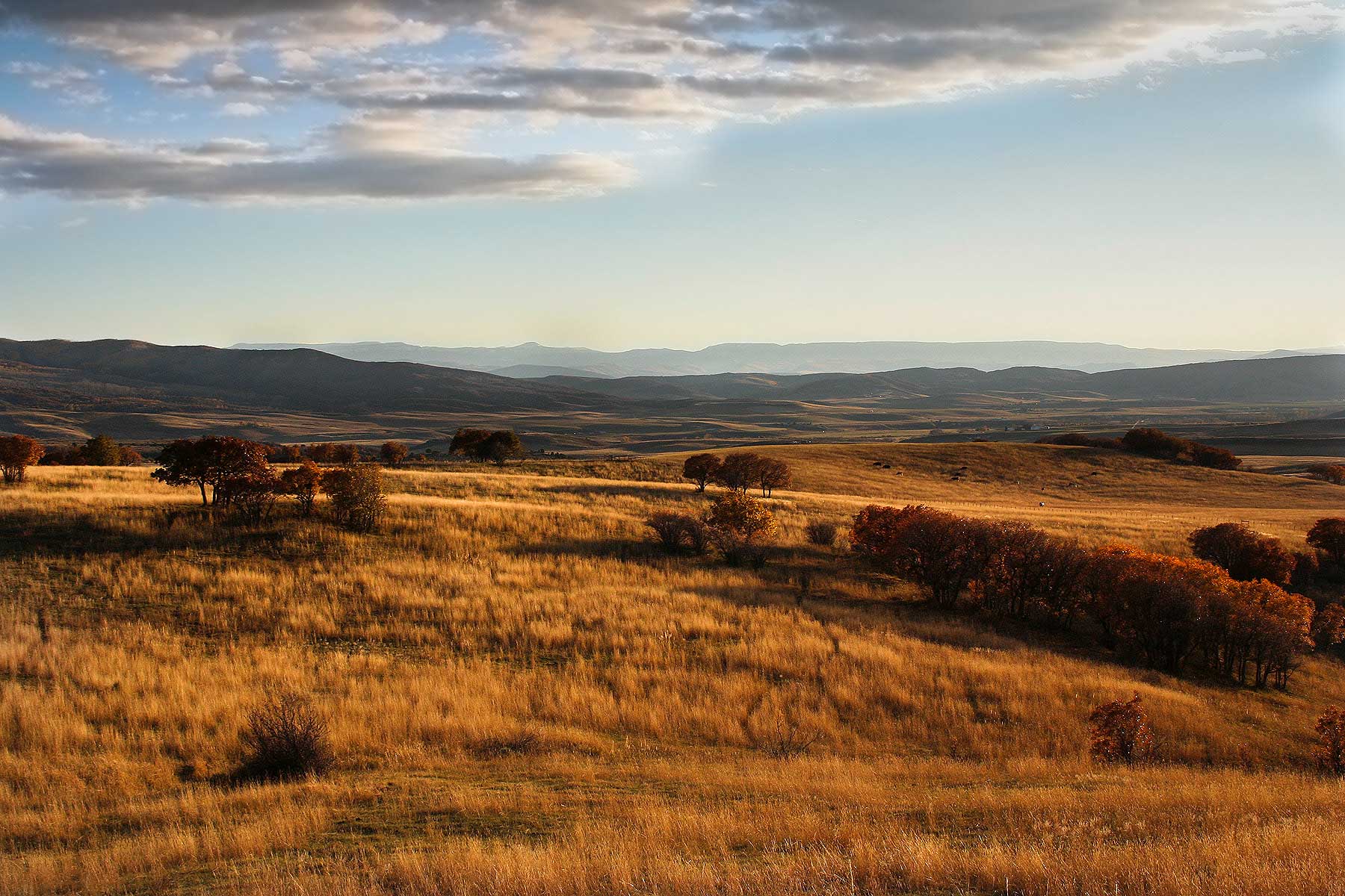 Slate Creek Ranch property picture 40 of 66