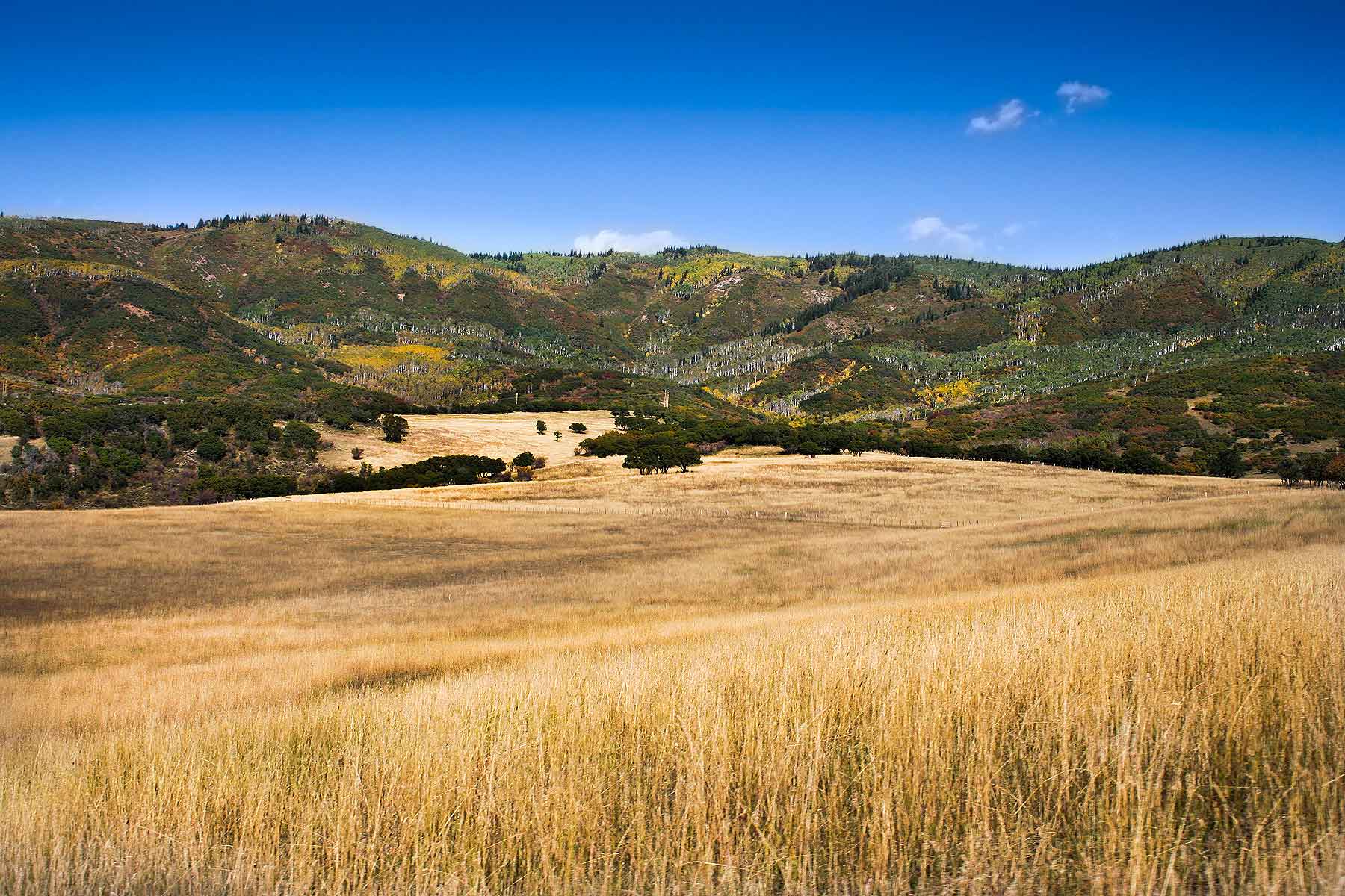 Slate Creek Ranch property picture 23 of 66