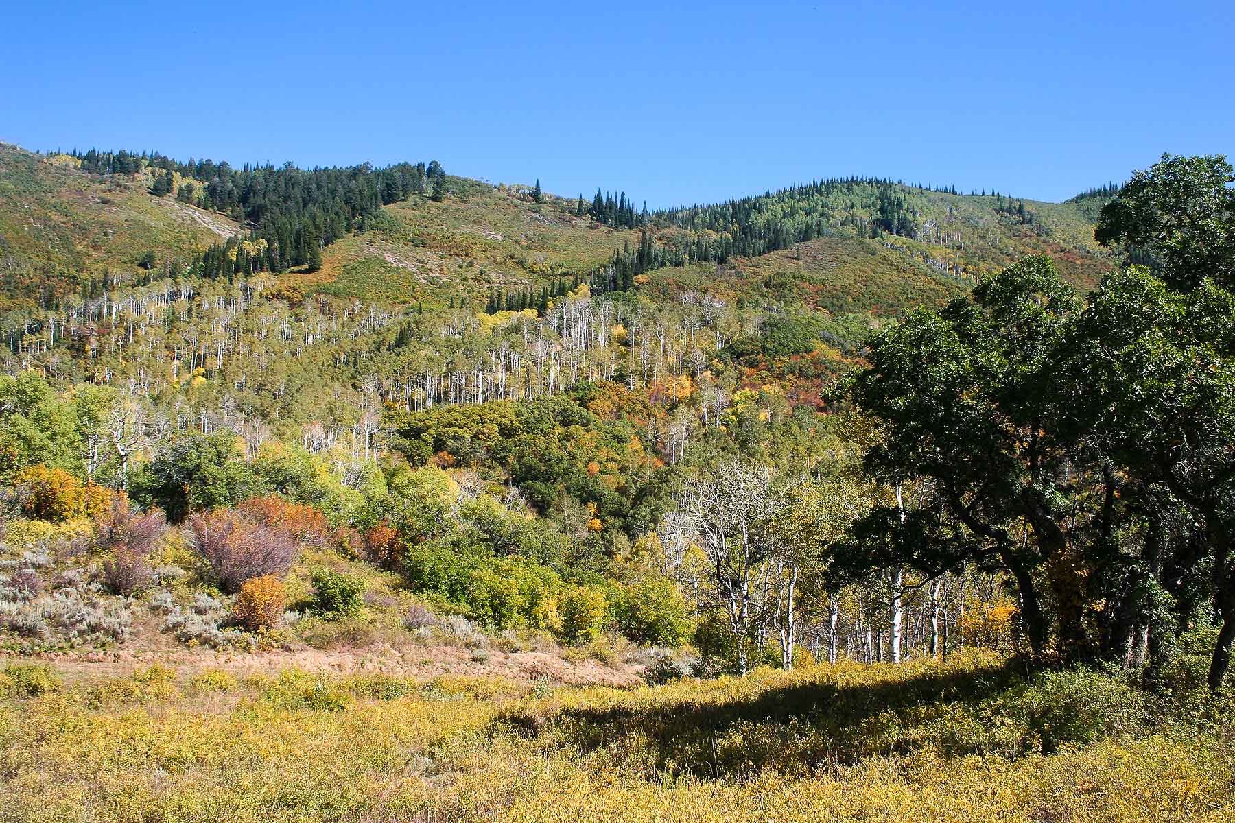 Slate Creek Ranch property picture 24 of 66