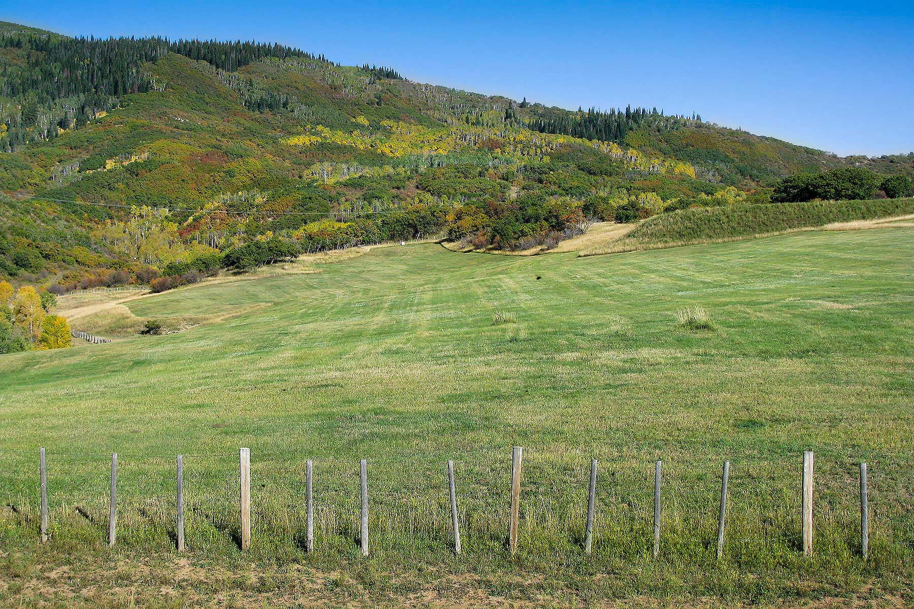 Slate Creek Ranch property picture 15 of 66