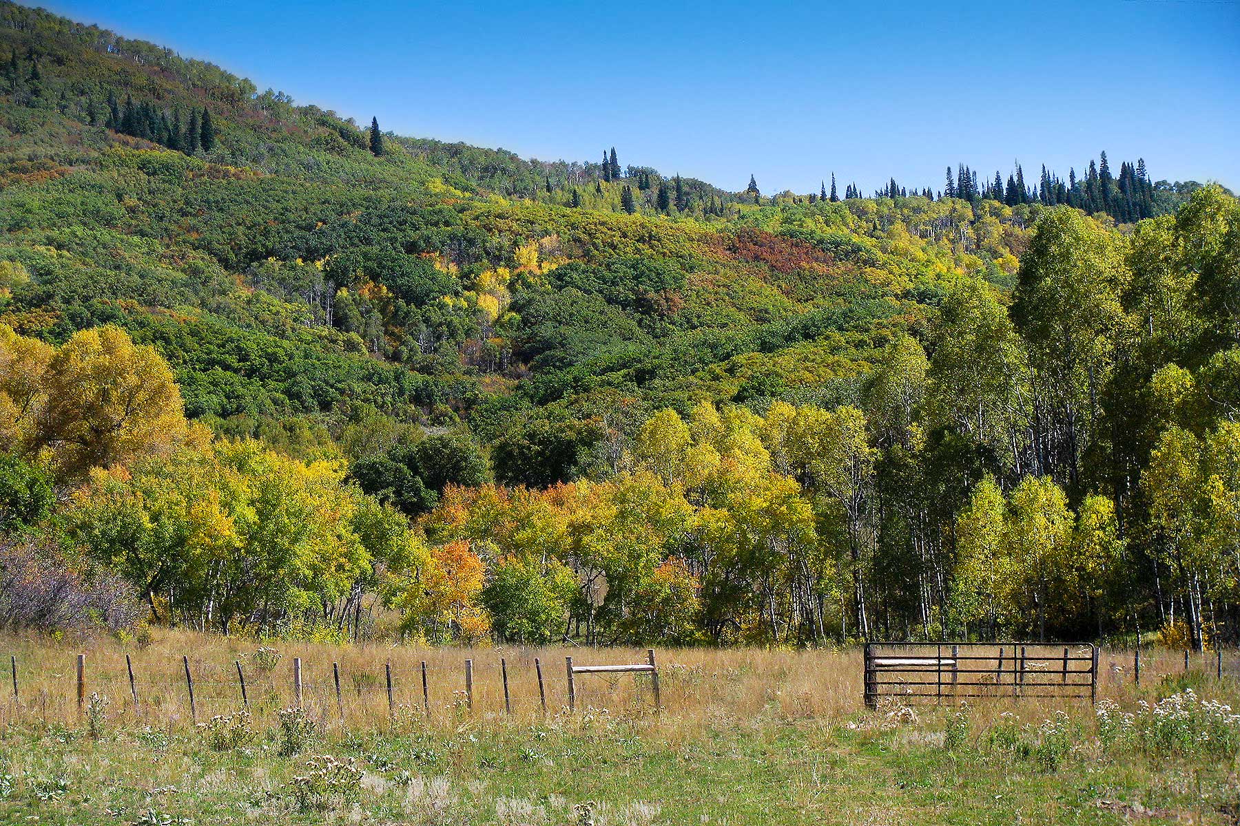 Slate Creek Ranch property picture 63 of 66