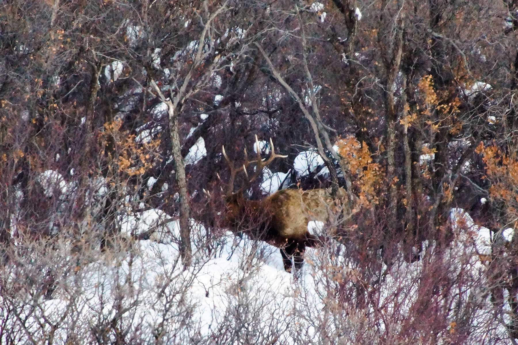 Slate Creek Ranch property picture 54 of 66
