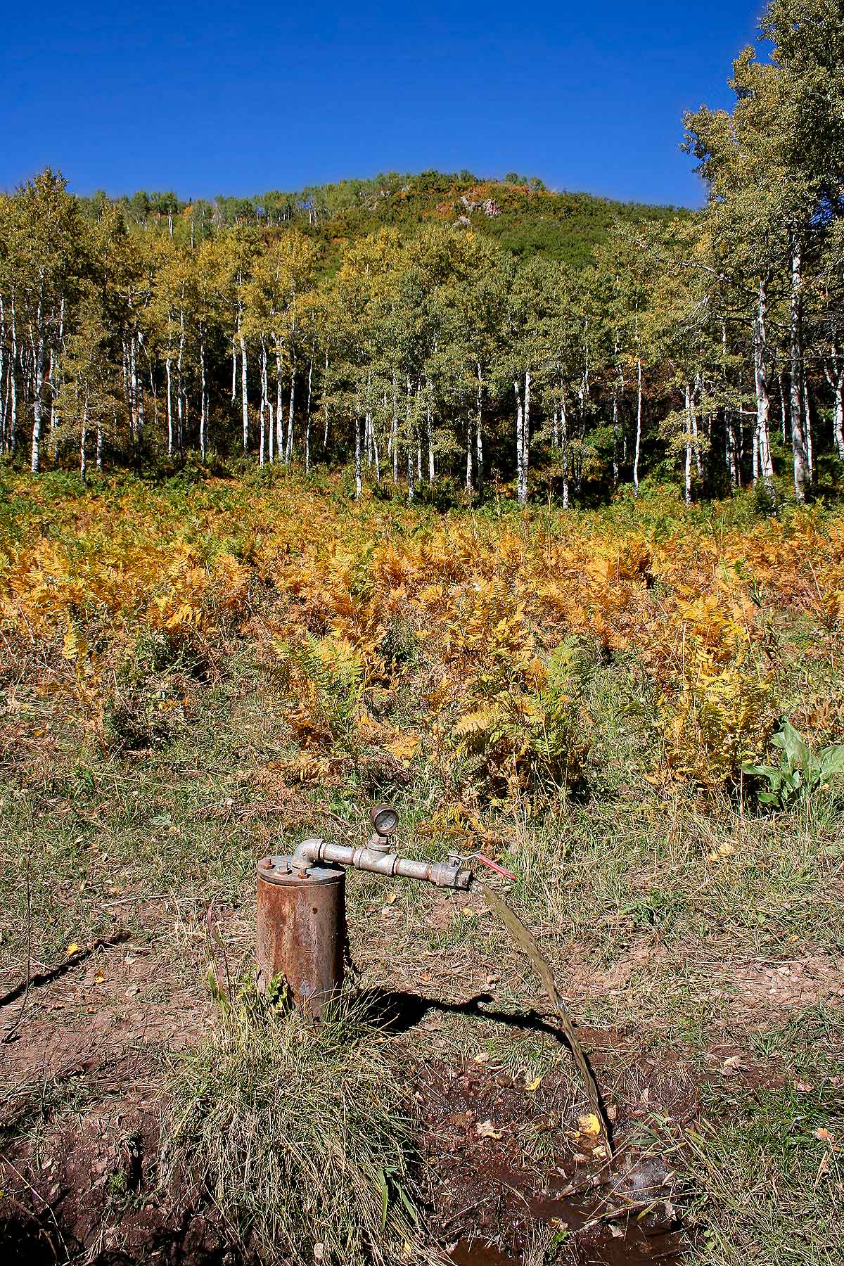 Slate Creek Ranch property picture 18 of 66