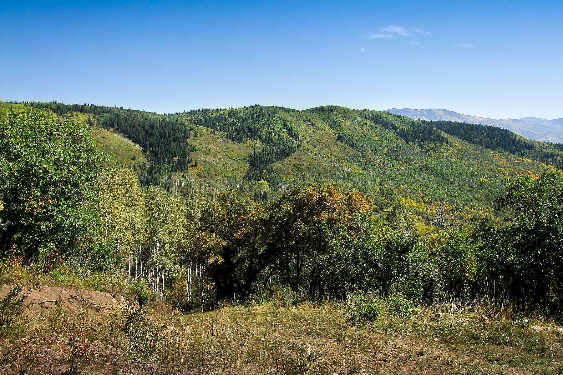 Slate Creek Ranch property picture 62 of 66