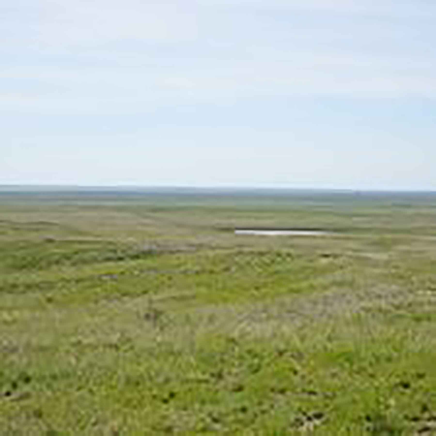 Parker Farm & Ranch property picture 23 of 87