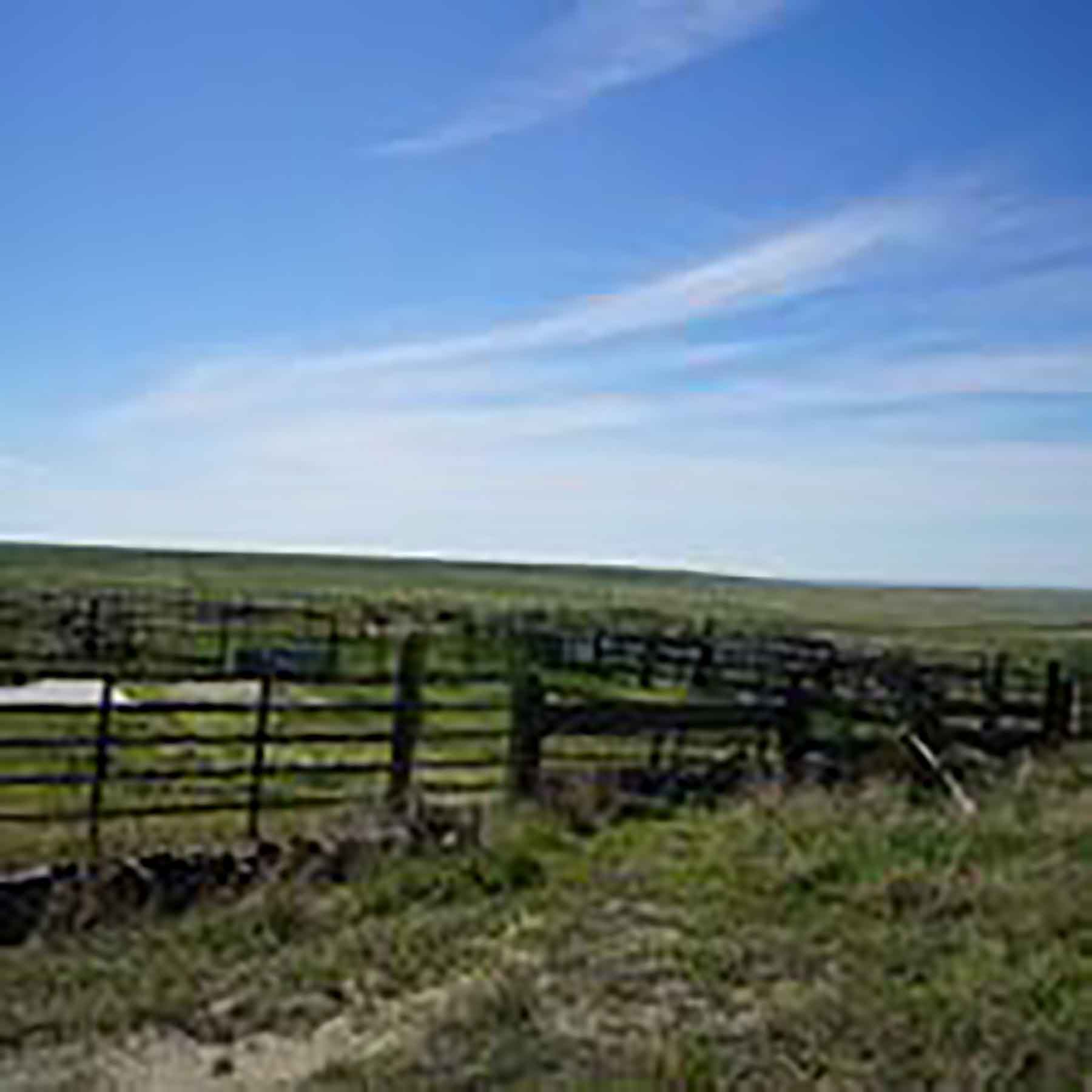 Parker Farm & Ranch property picture 26 of 87