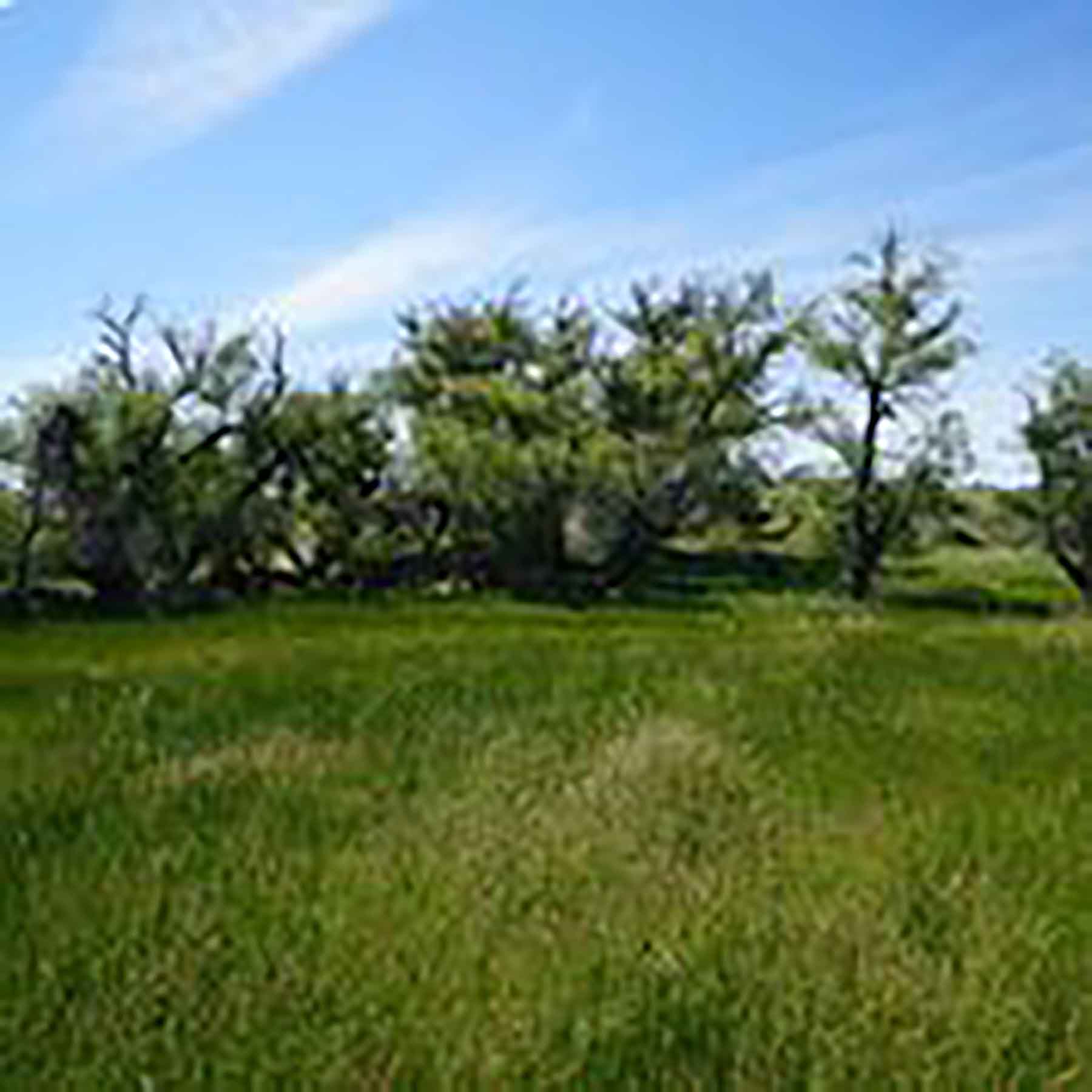 Parker Farm & Ranch property picture 74 of 87