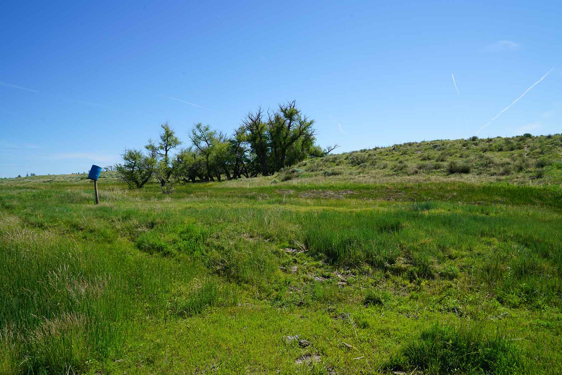 Parker Farm & Ranch property picture 49 of 87