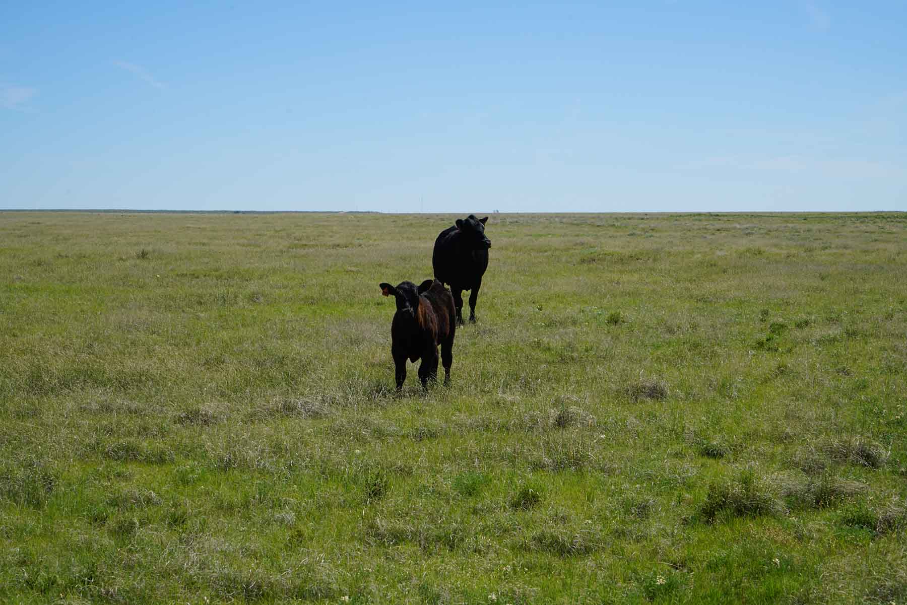 Parker Farm & Ranch property picture 59 of 87