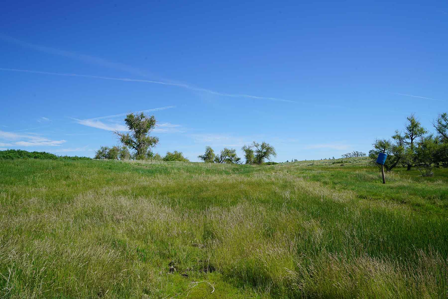 Parker Farm & Ranch property picture 47 of 87