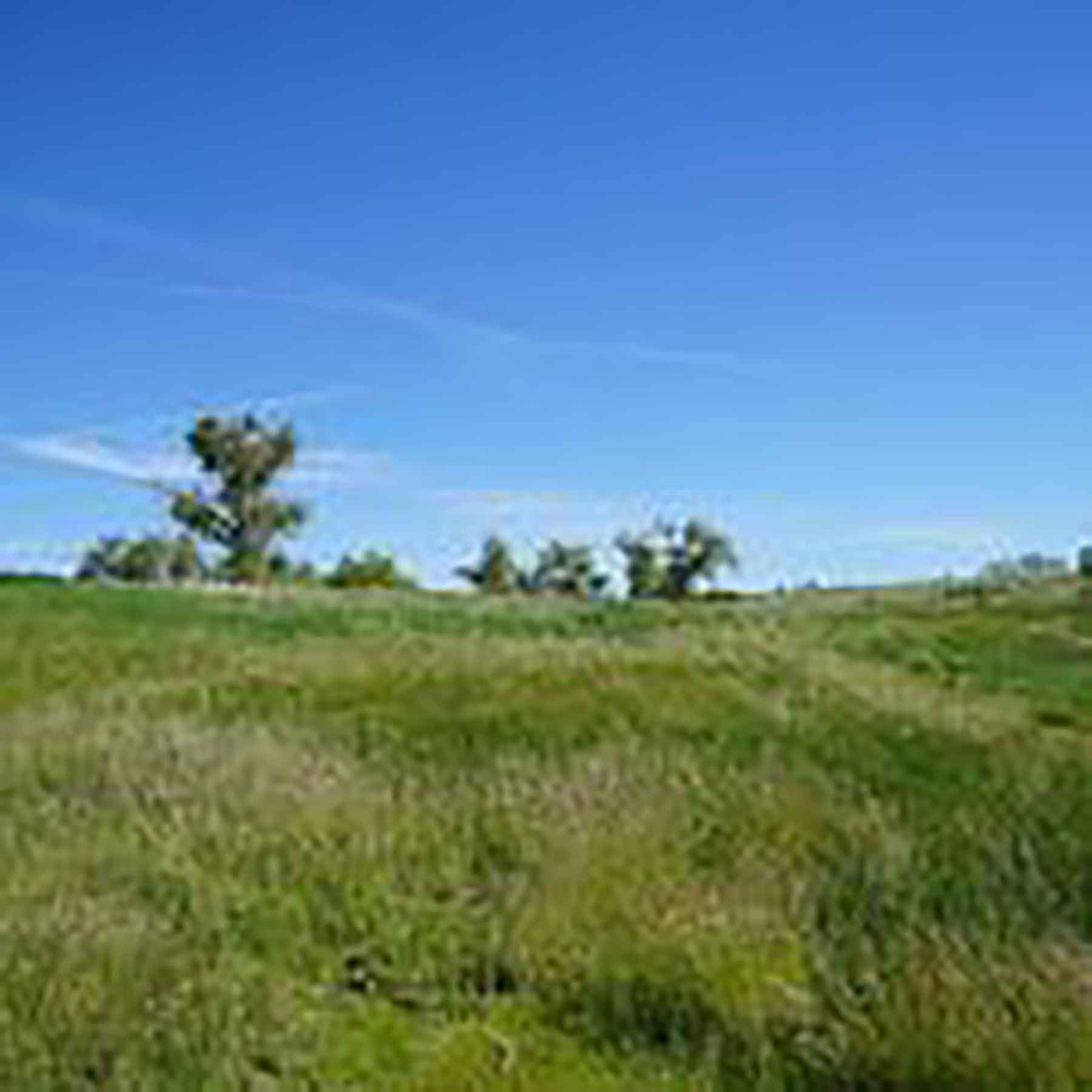 Parker Farm & Ranch property picture 73 of 87