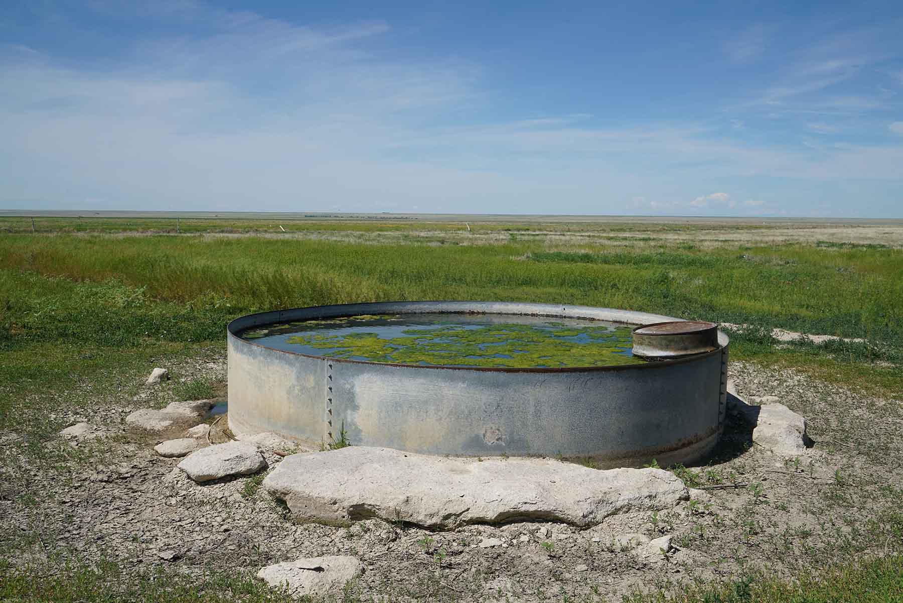 Parker Farm & Ranch property picture 55 of 87