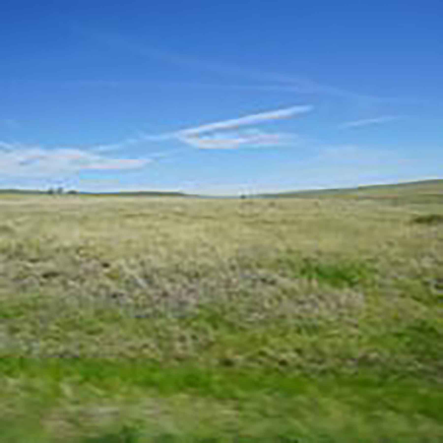 Parker Farm & Ranch property picture 31 of 87