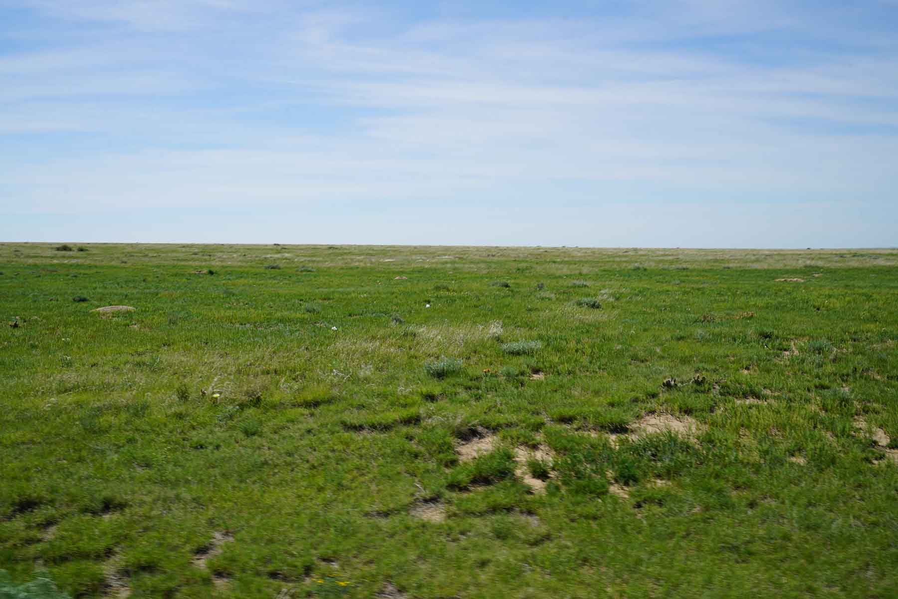 Parker Farm & Ranch property picture 11 of 87