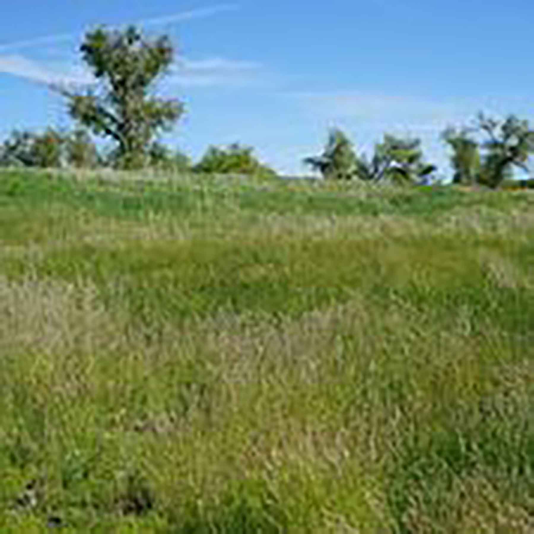 Parker Farm & Ranch property picture 19 of 87