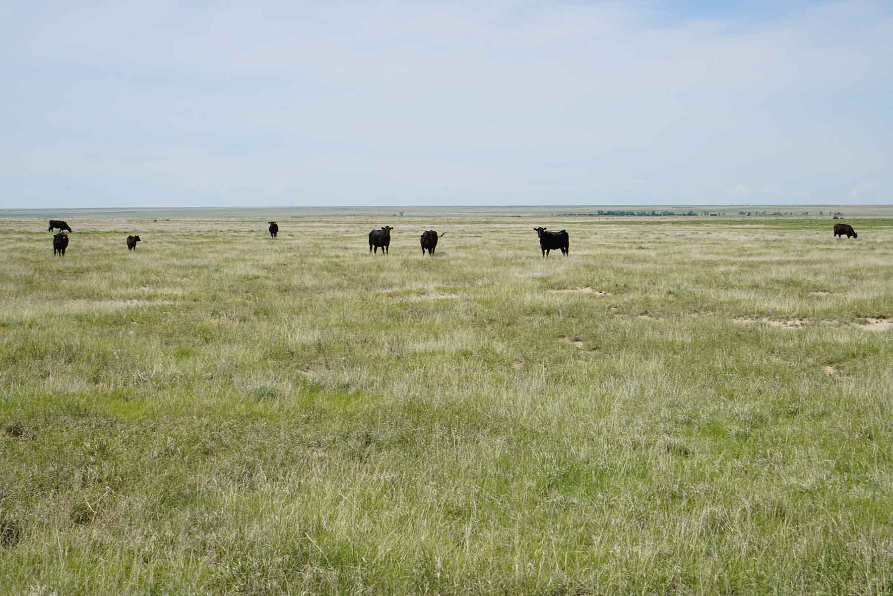 Parker Farm & Ranch property picture 63 of 87